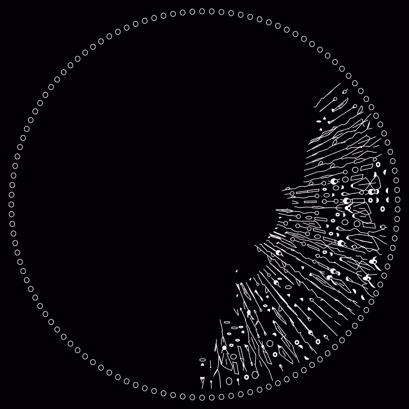codex -19808856.
