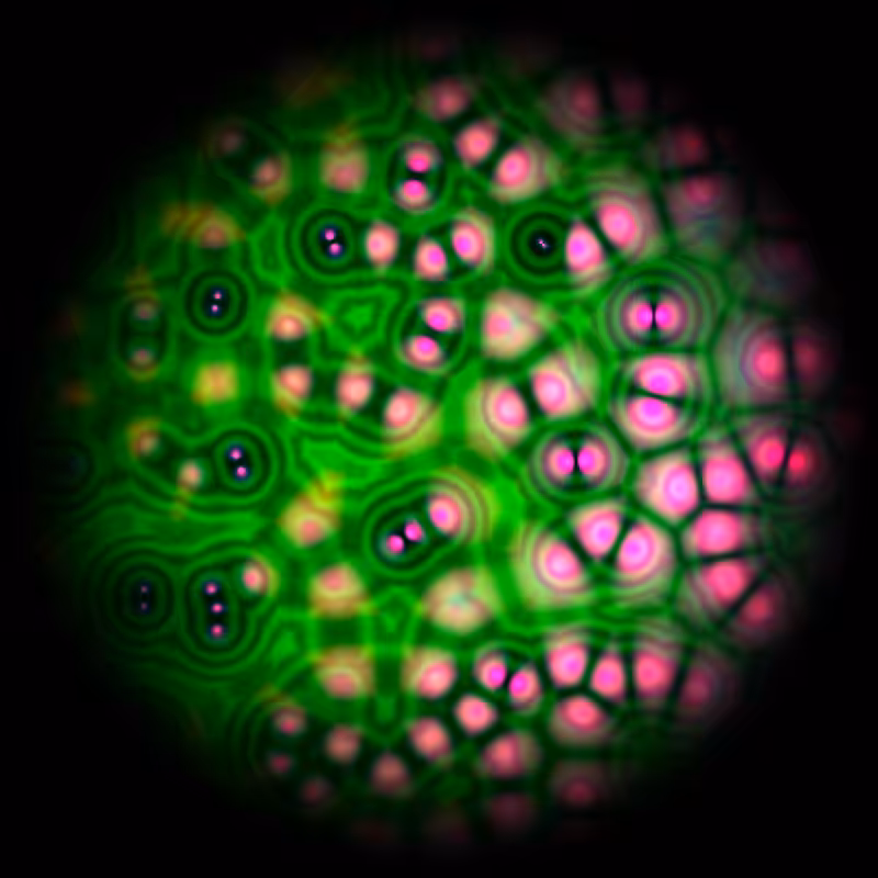 Motile #11