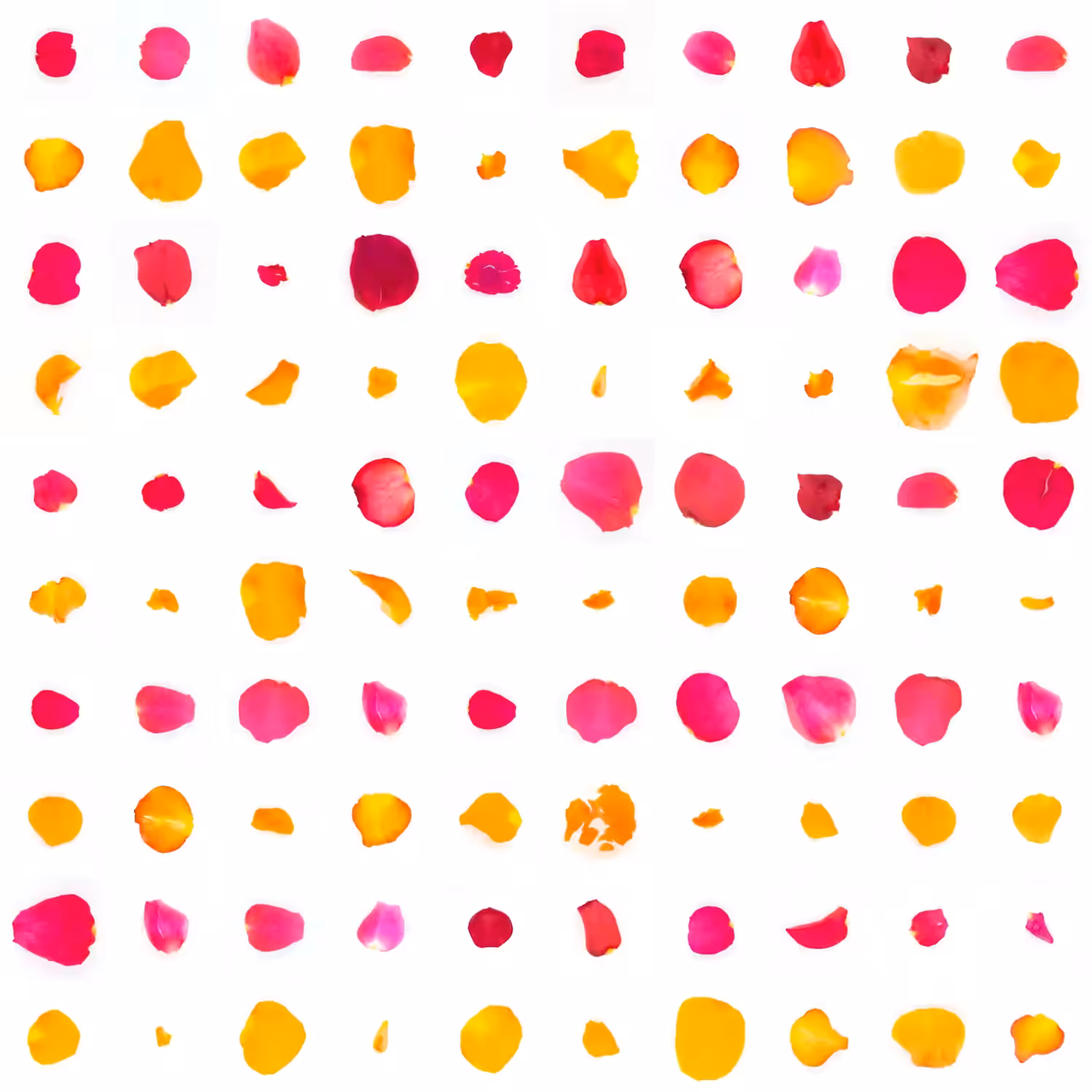 Infinite Petals 10x10#42