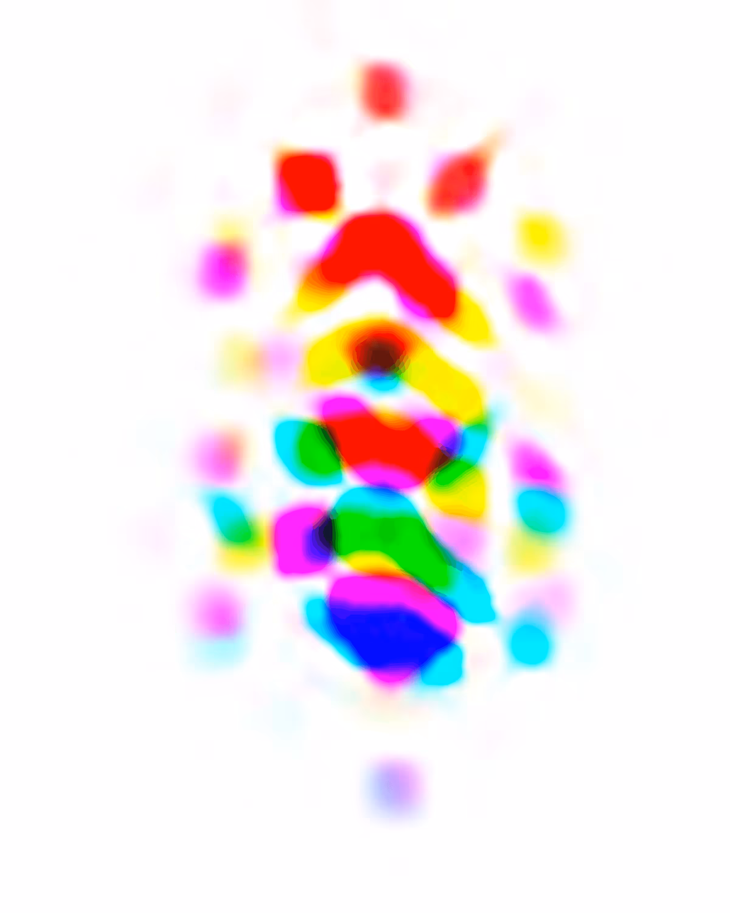 Fingerprint #13