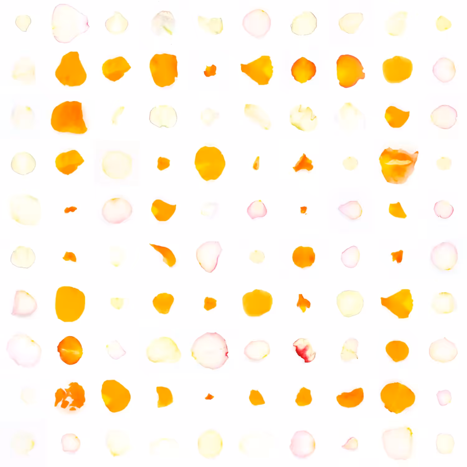 Infinite Petals 10x10#1277