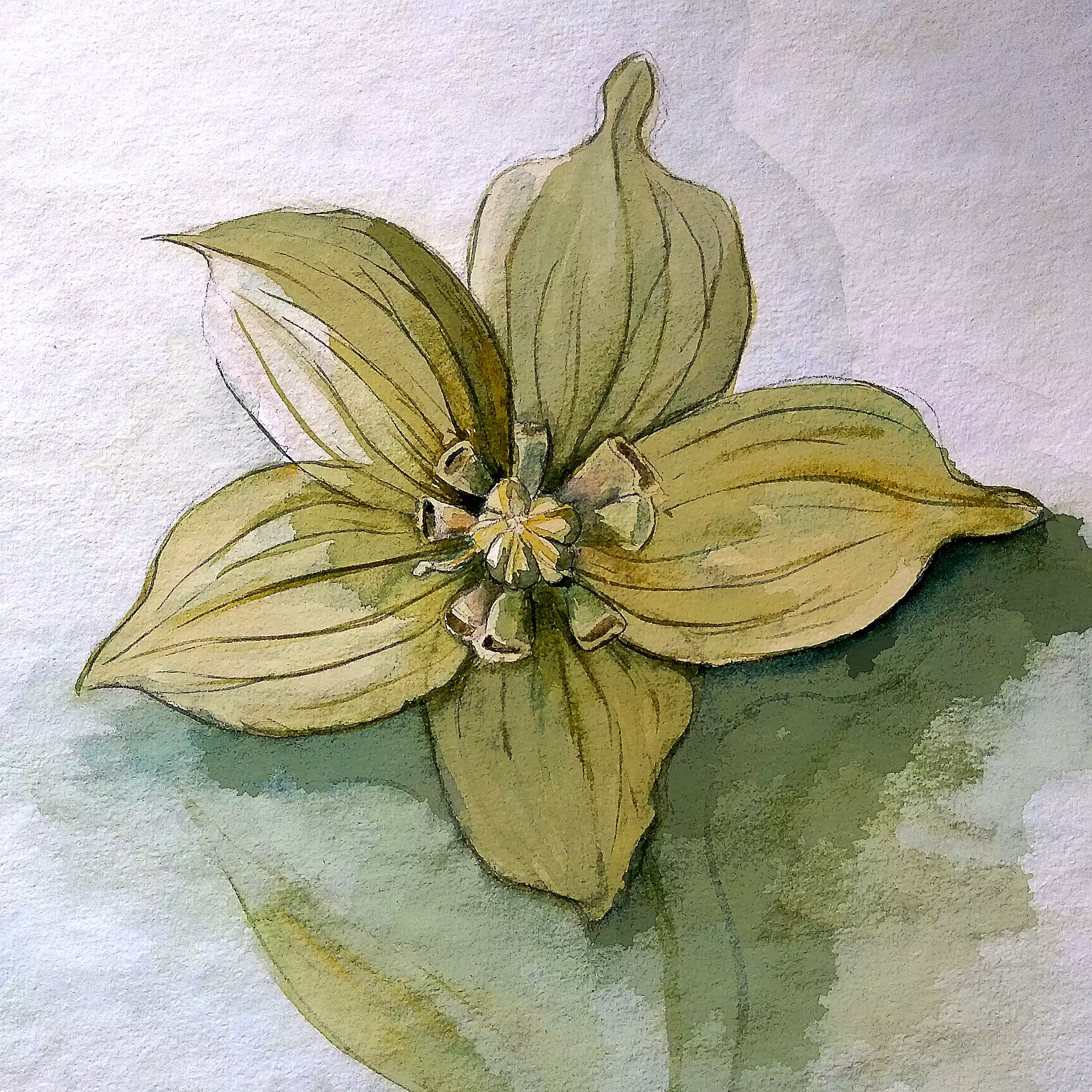Power Flower Green
