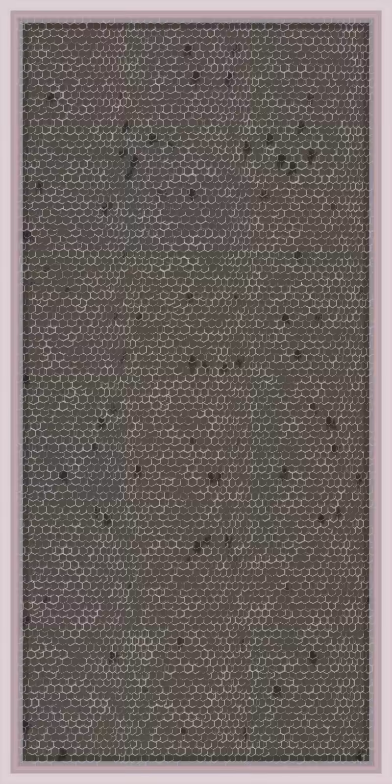 Glimpse Of Draeconian Epidermis & Tapestry #123