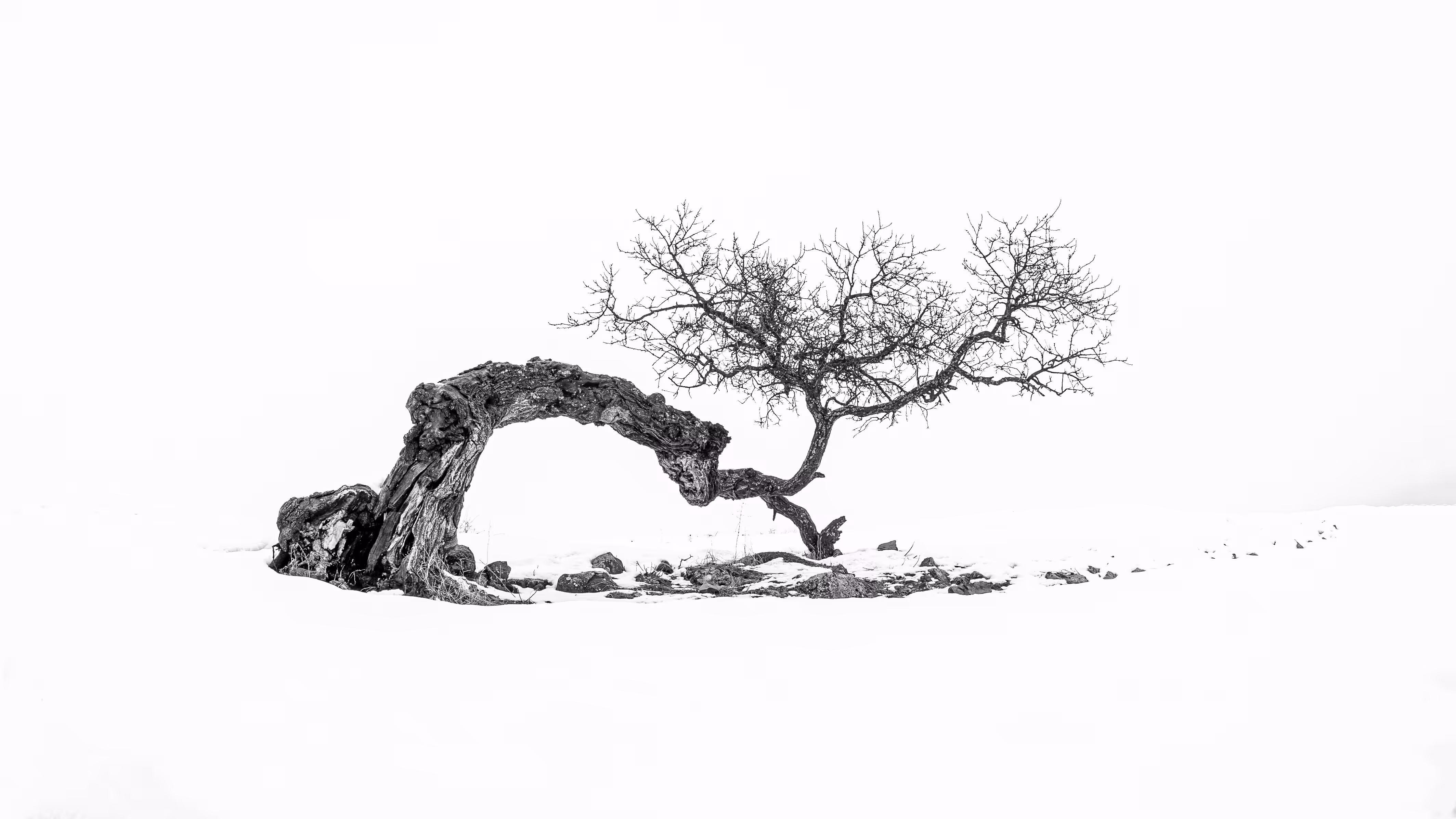 Bending Life