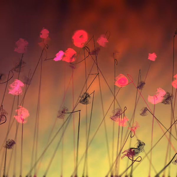 Cottongrass #23