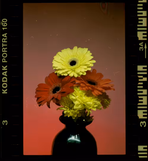 Portra 3 Frame 3
