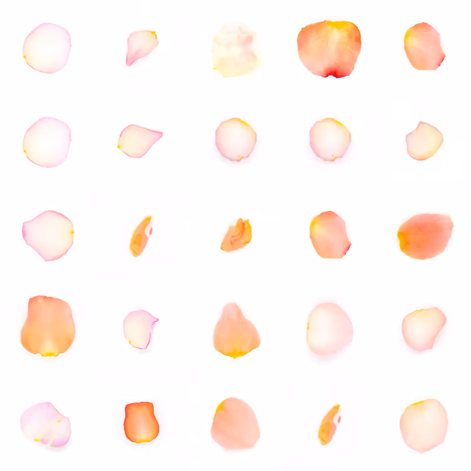 Infinite Petals 5x5#4025