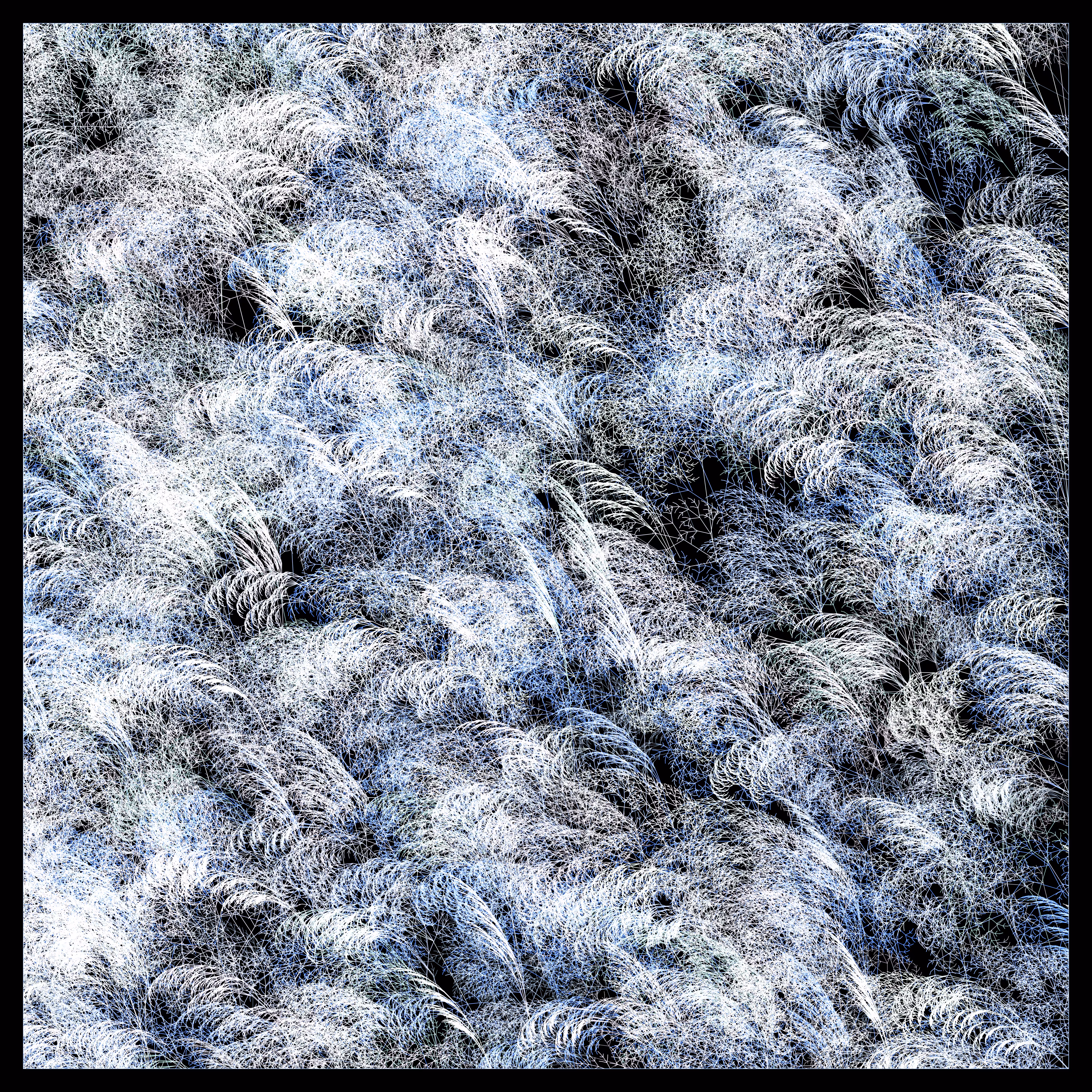 Fractal grass. Sunny winter morning.