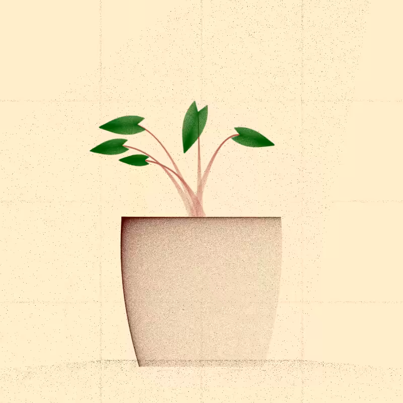 🌱 Potted & Printed #223