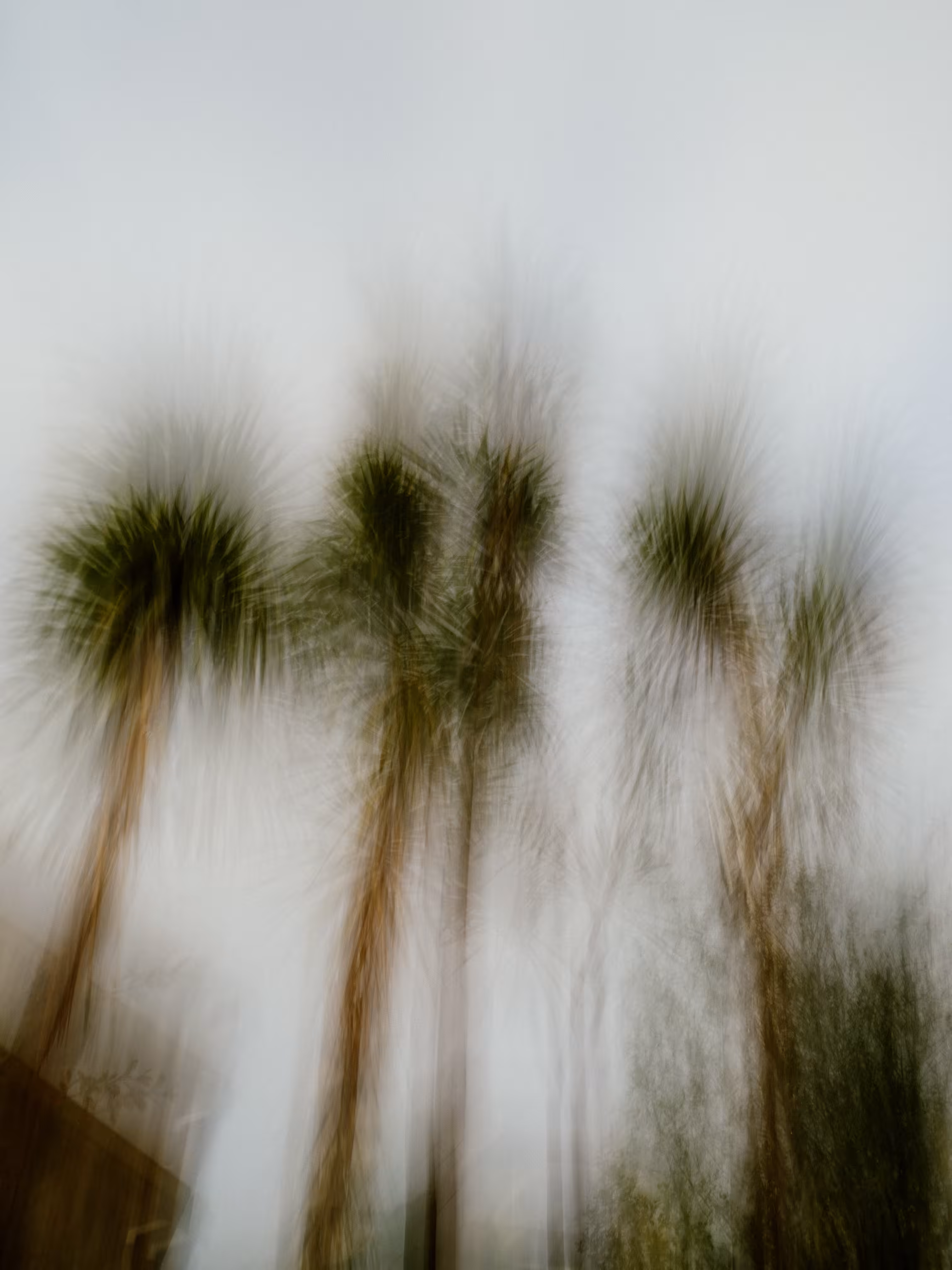 Sentinels