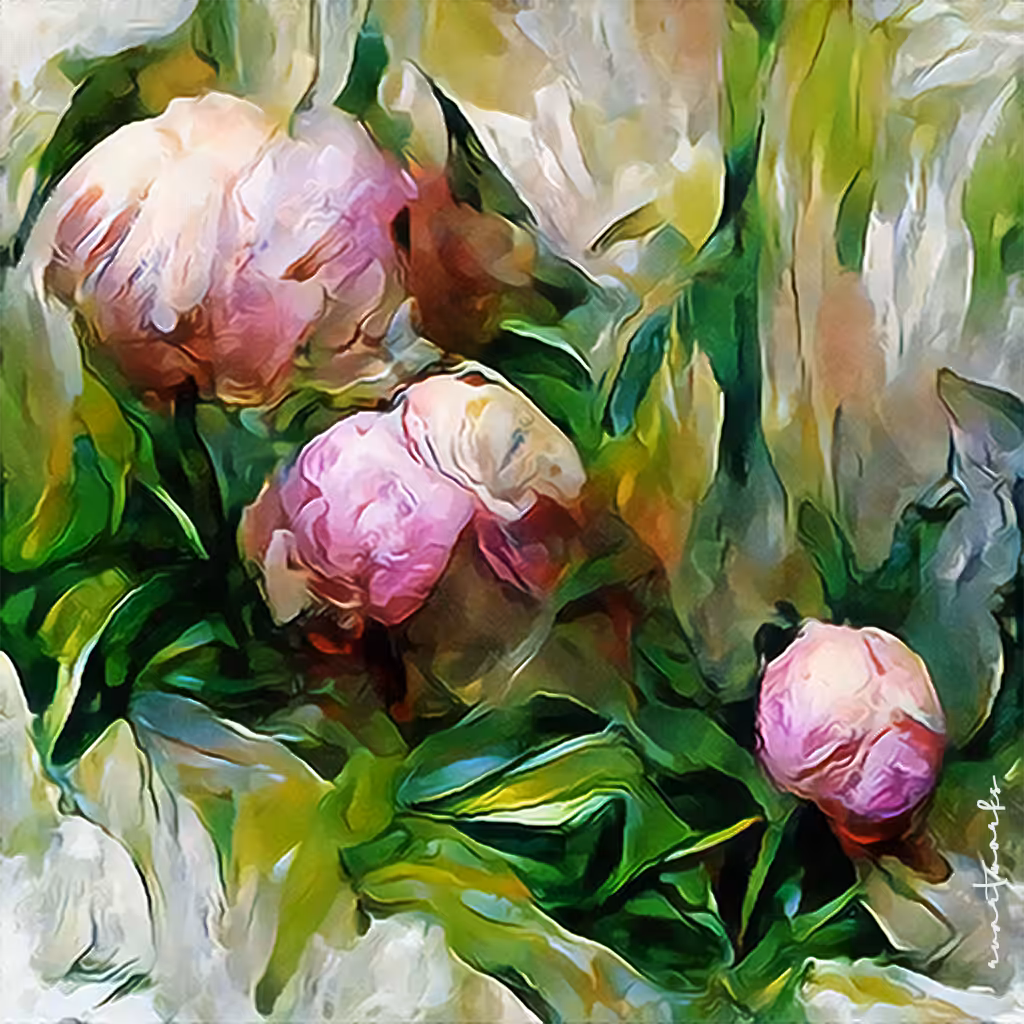 Spring#002