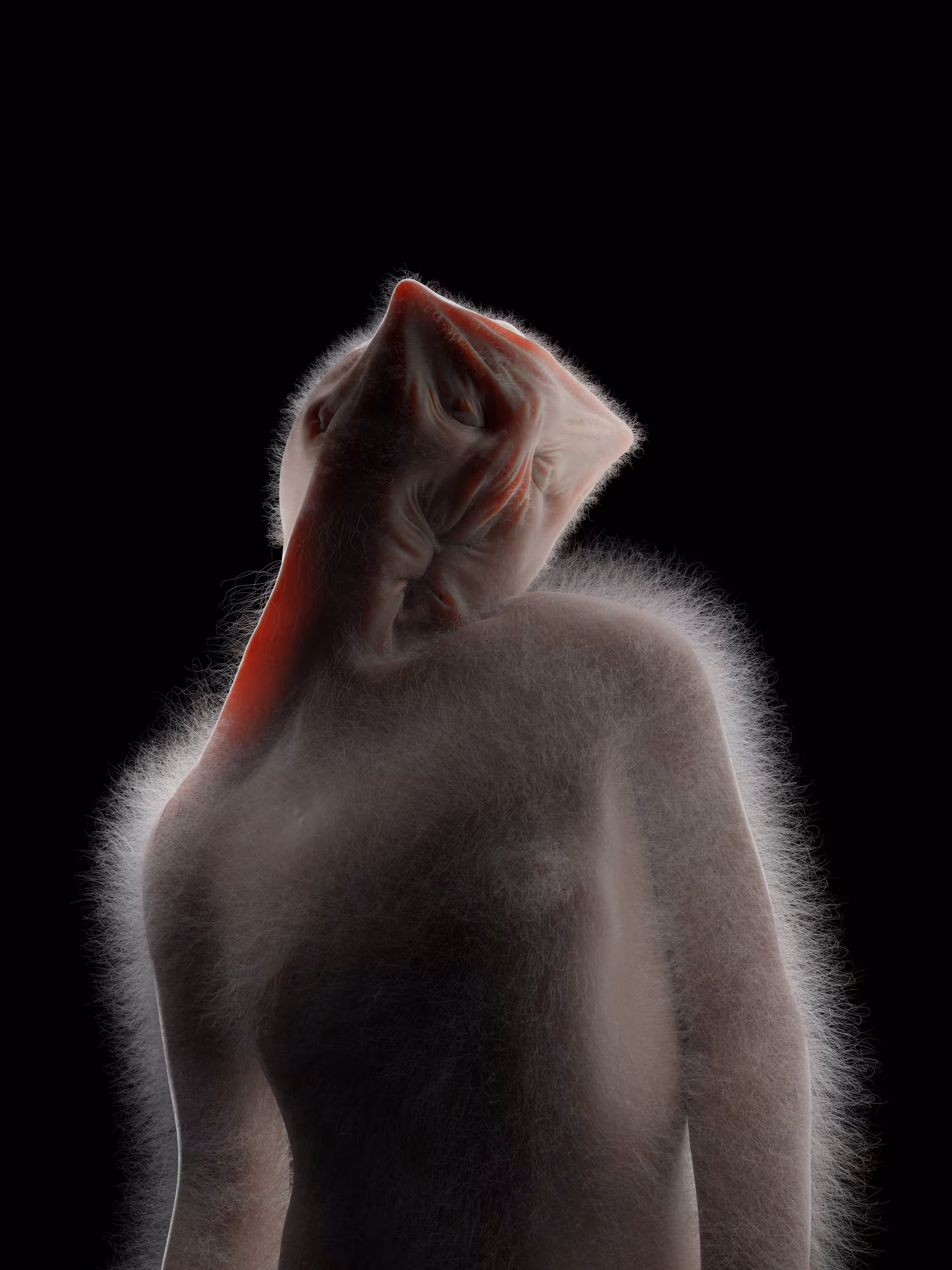 Portrait glorious