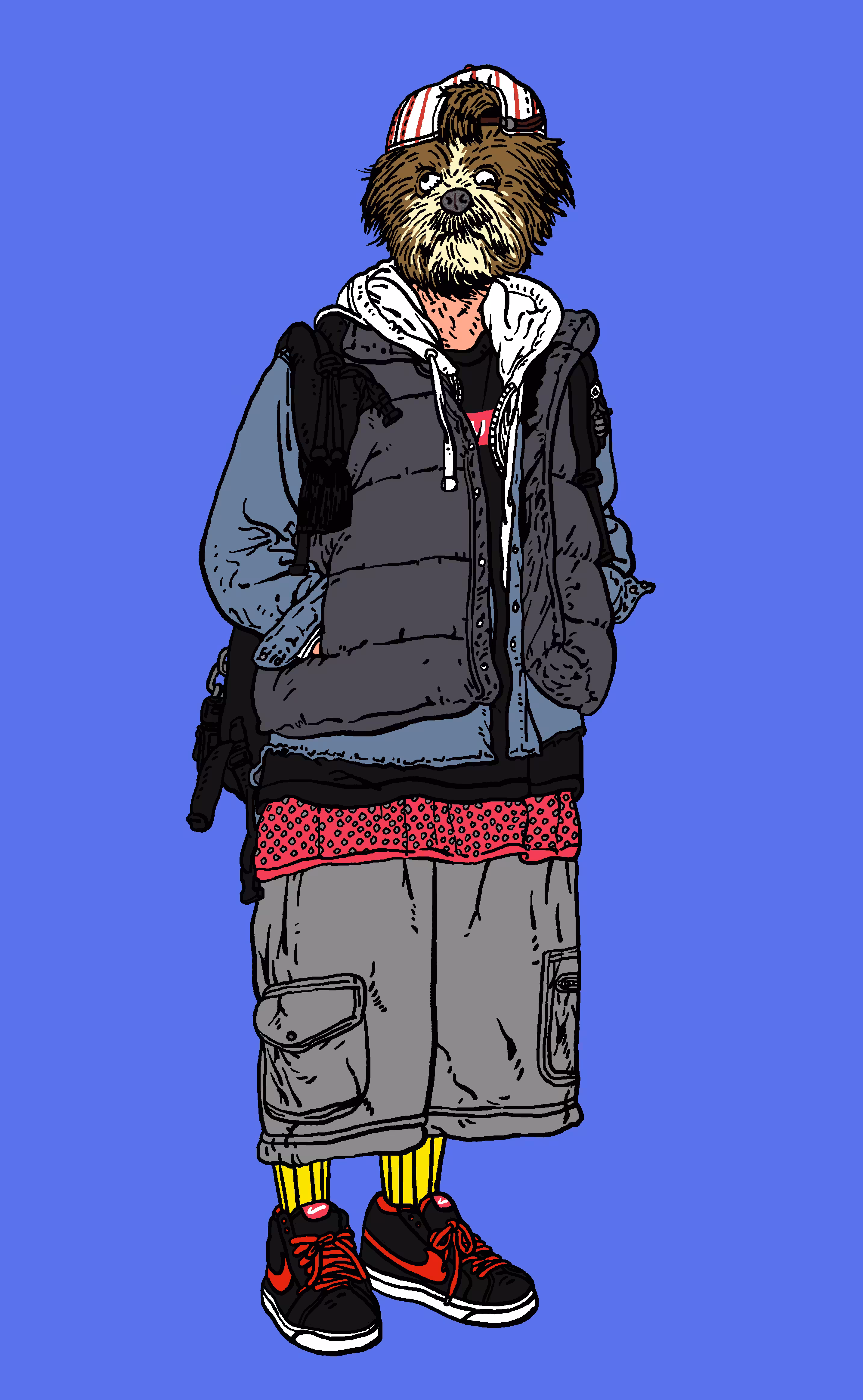 Fashion DOG 1