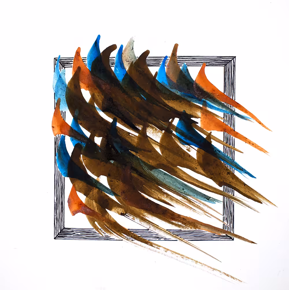 Song of Birds 1