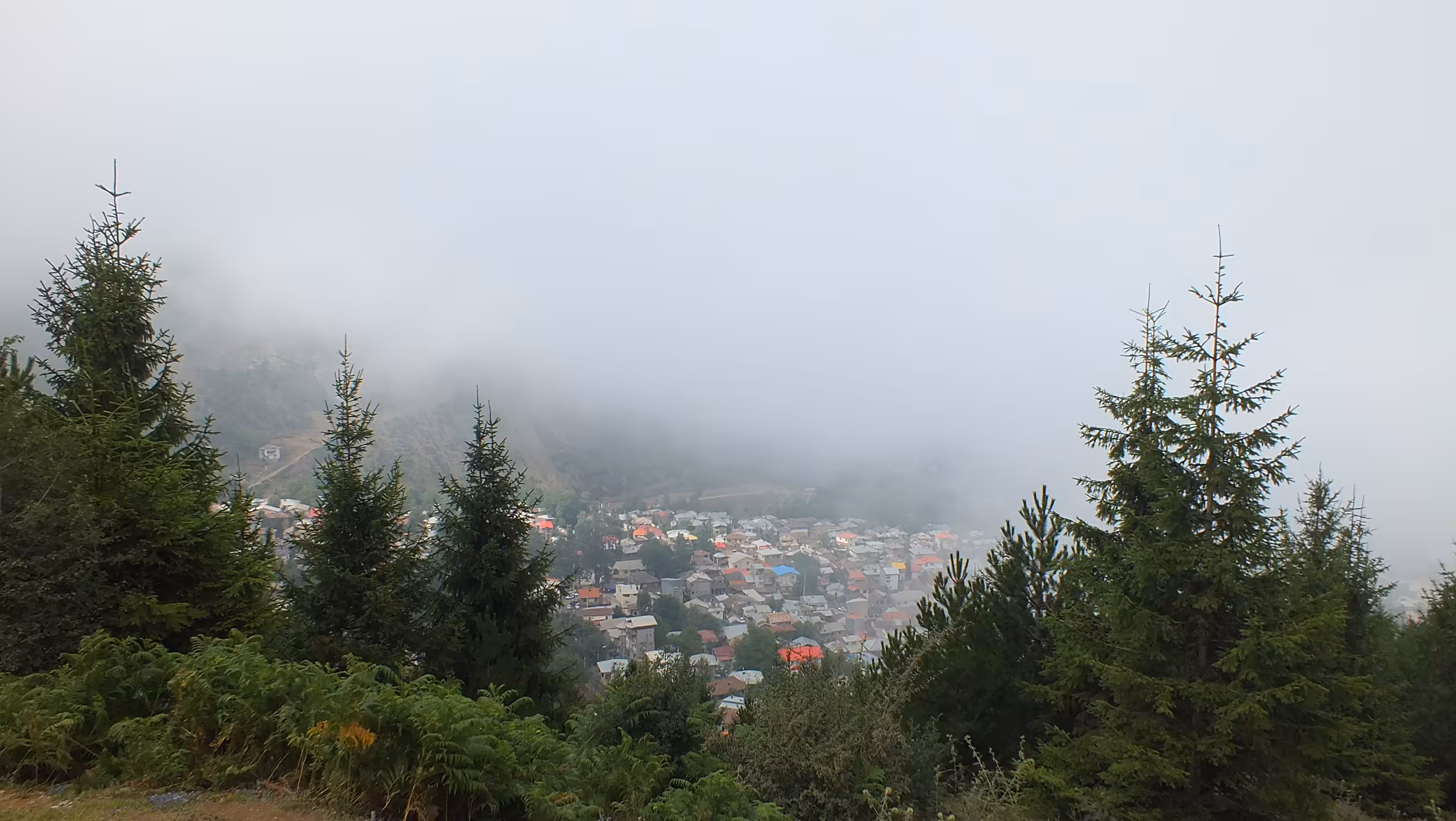 Fog