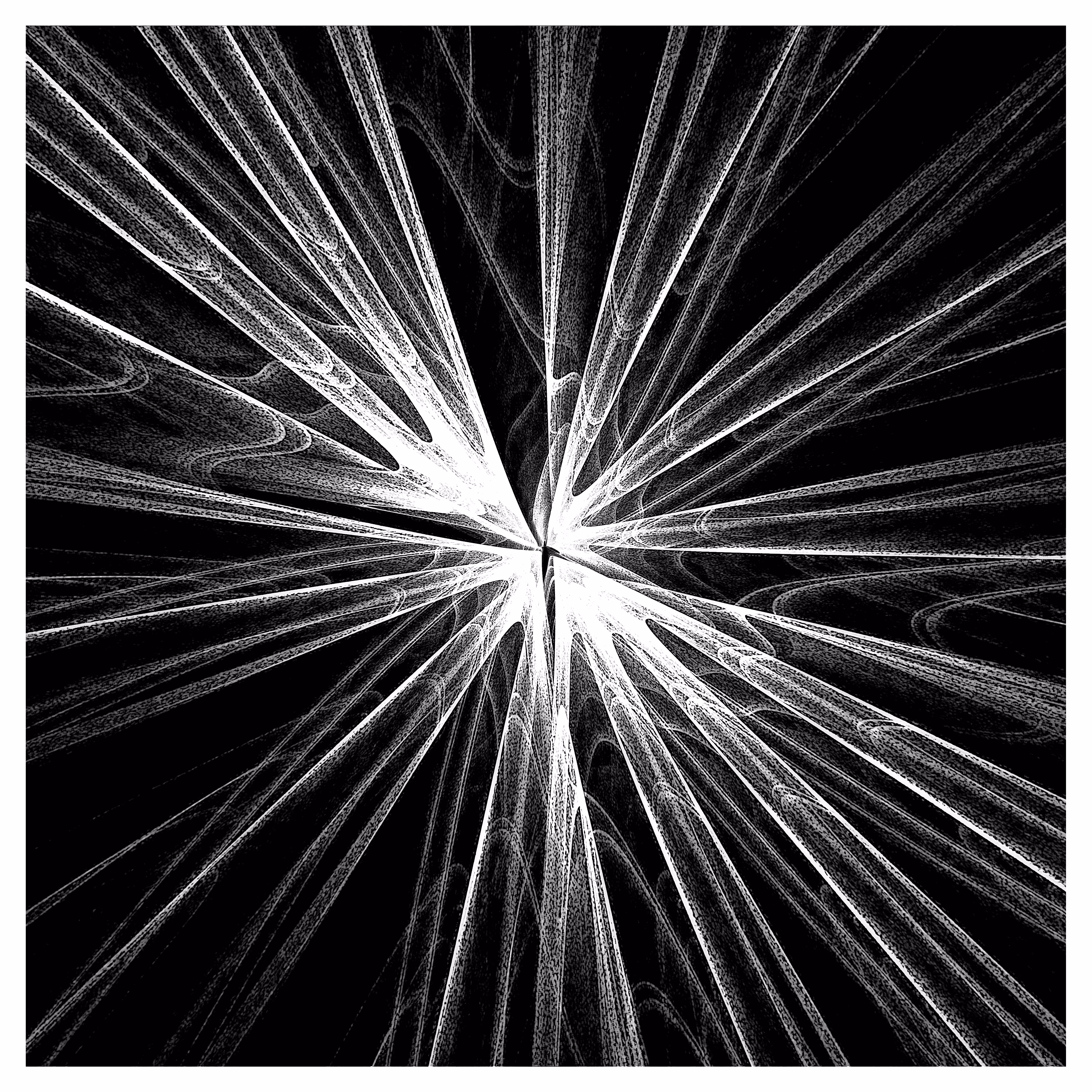 Aesthetic Explorations - Black & White