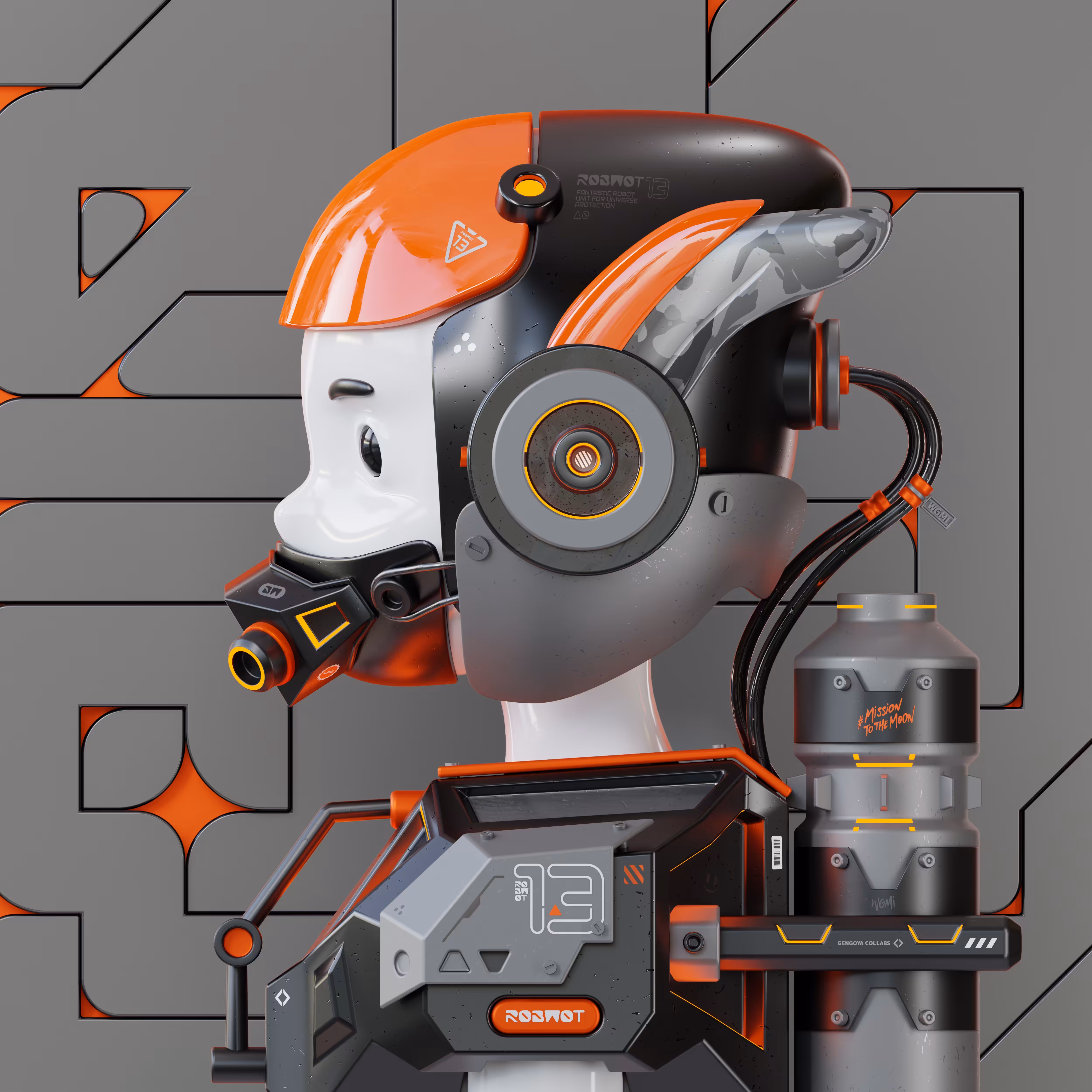 ROBWOT 13