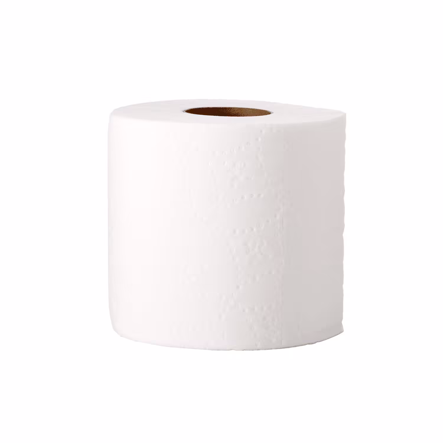 100 Everyday Items: Toilet Paper