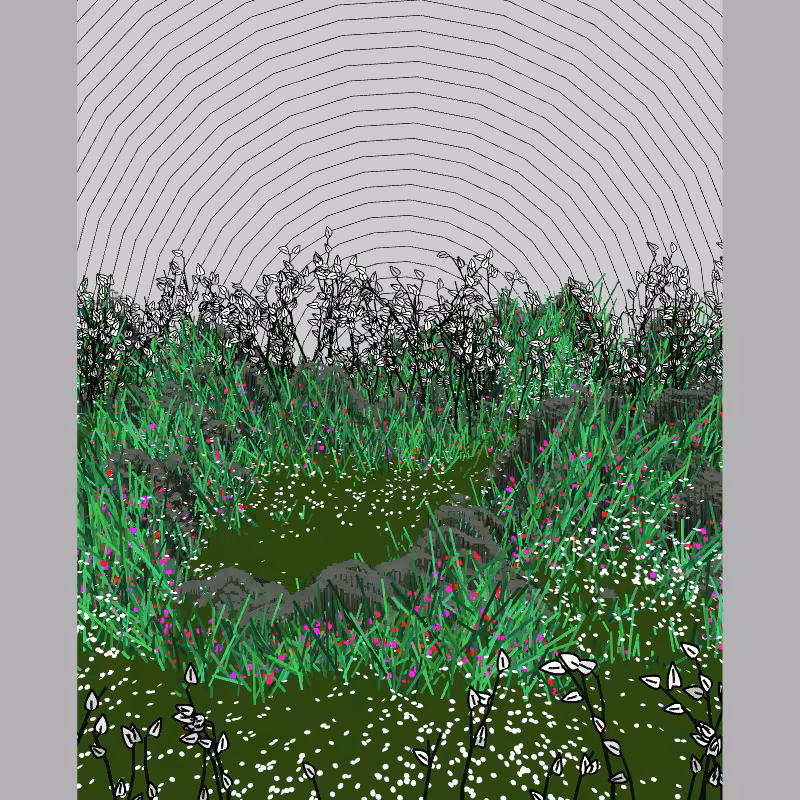 Contours #20
