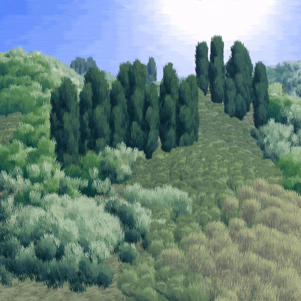 Provence #141