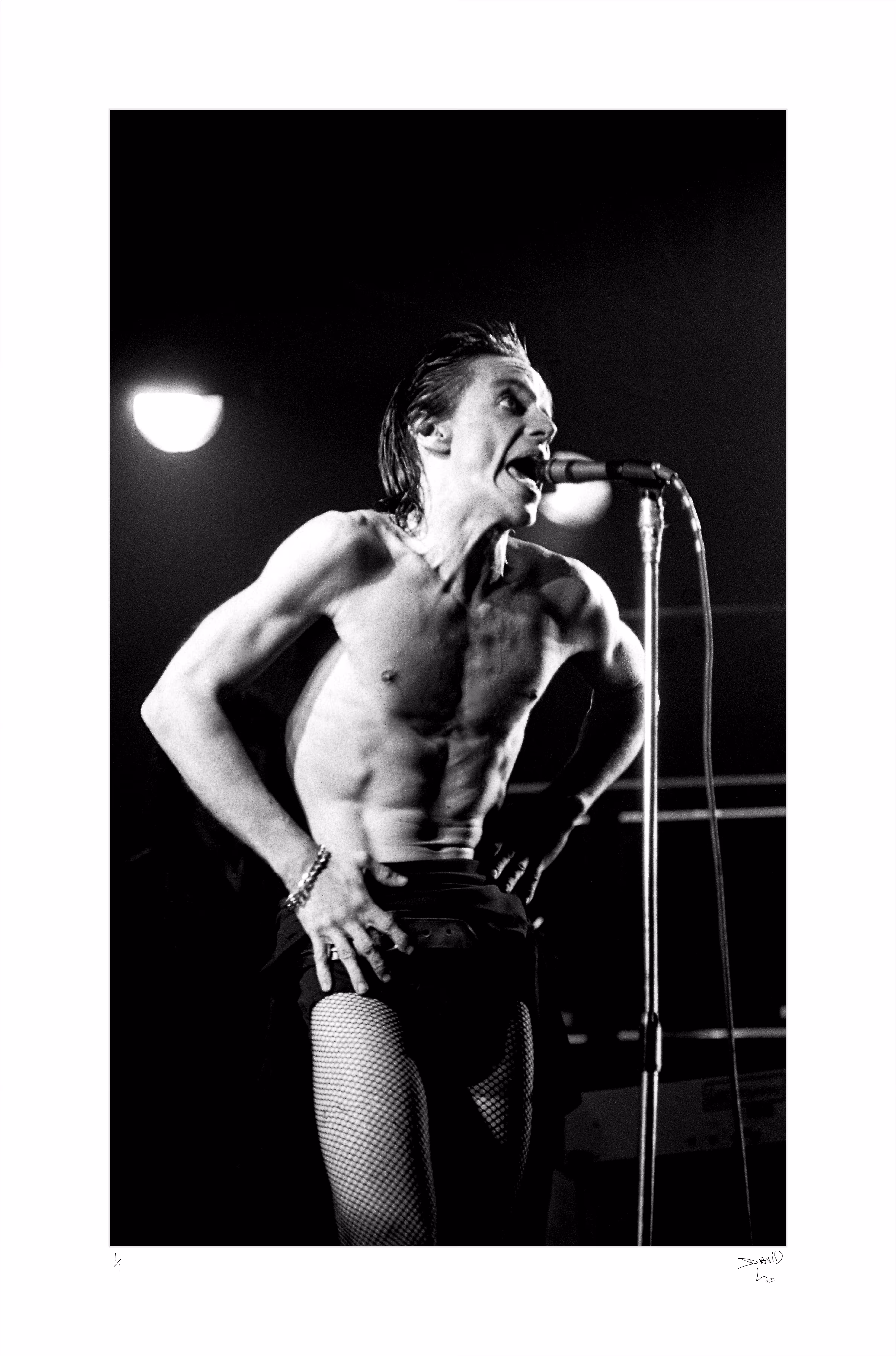 Iggy Pop
