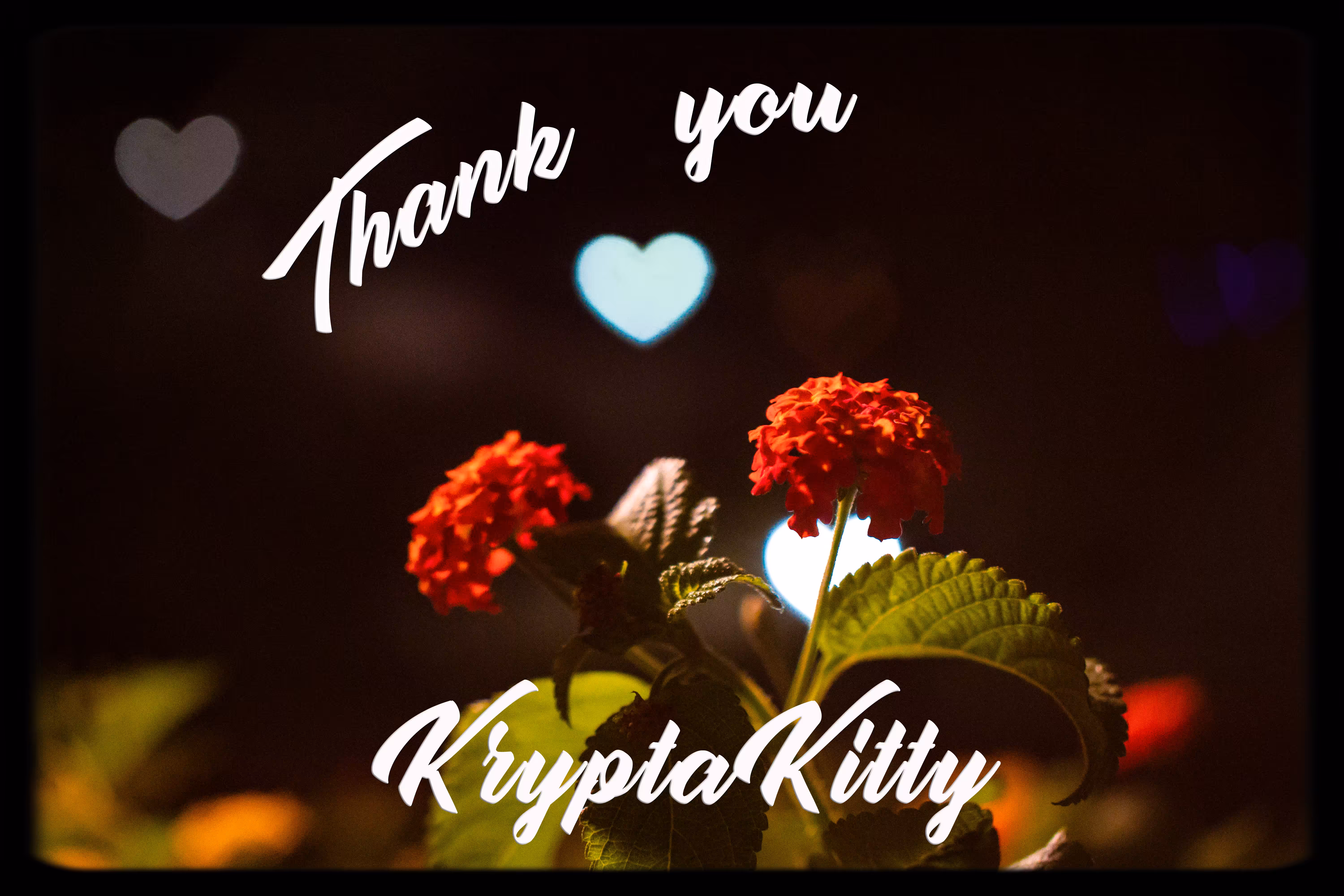 Thank You KryptaKitty 