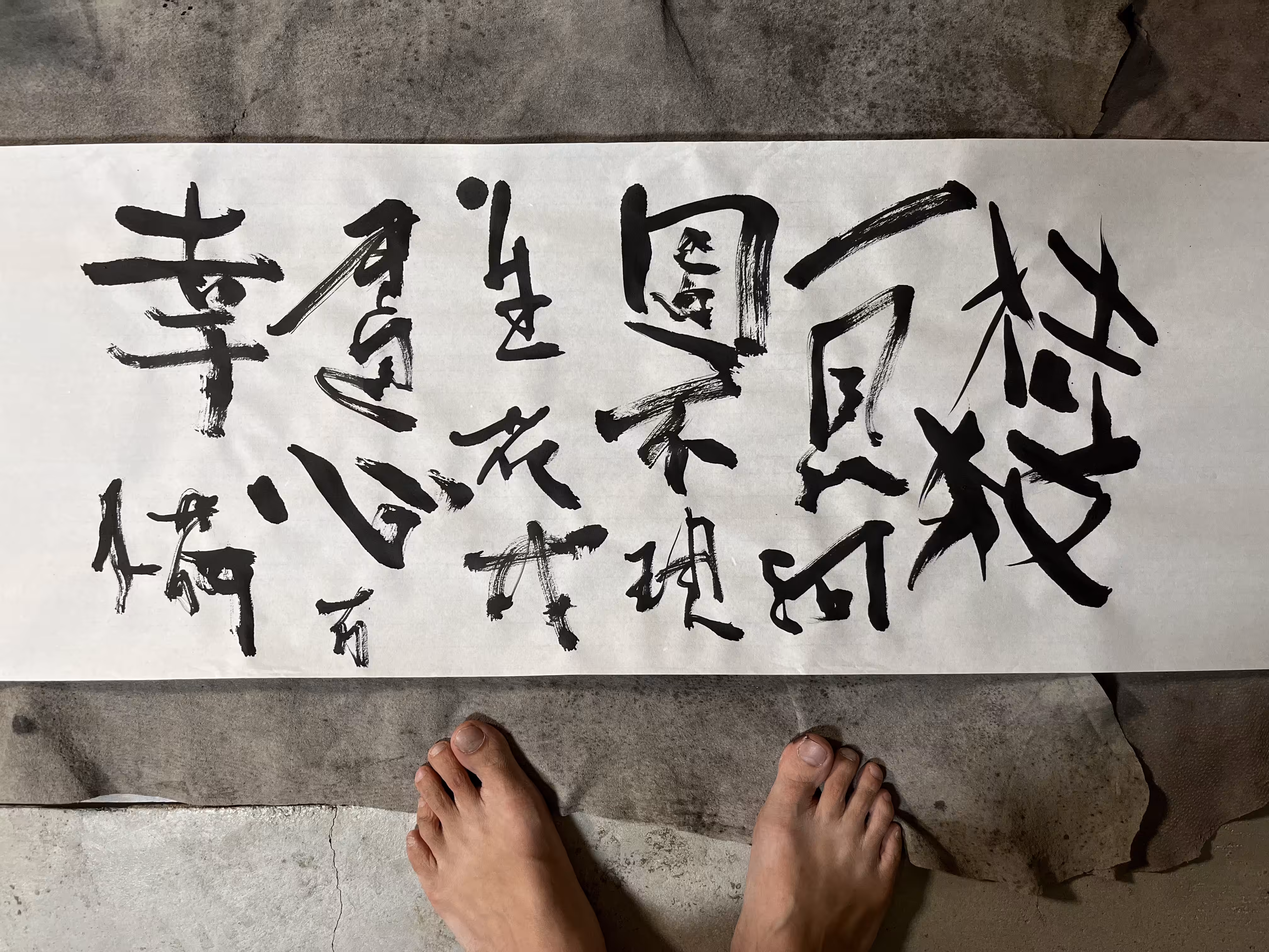 生成畫荷-- 見河圖現