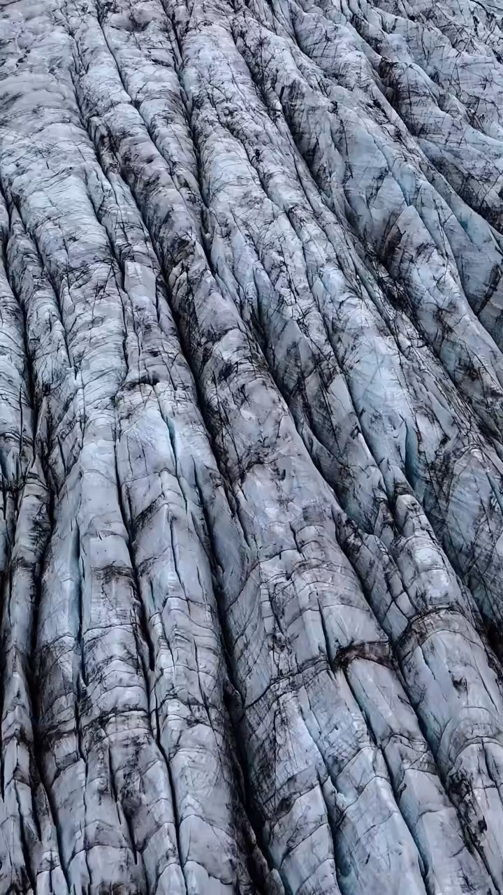 Rodeo posts: Rodeo post #236