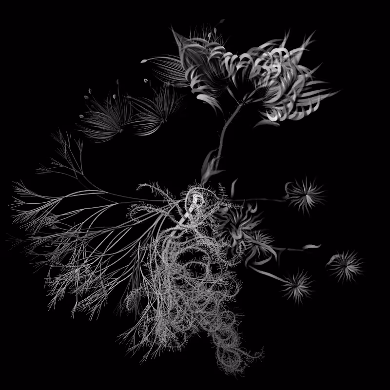 Botanical Ghosts #18
