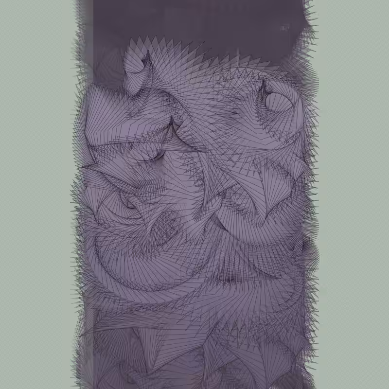 Braids/burdens #20