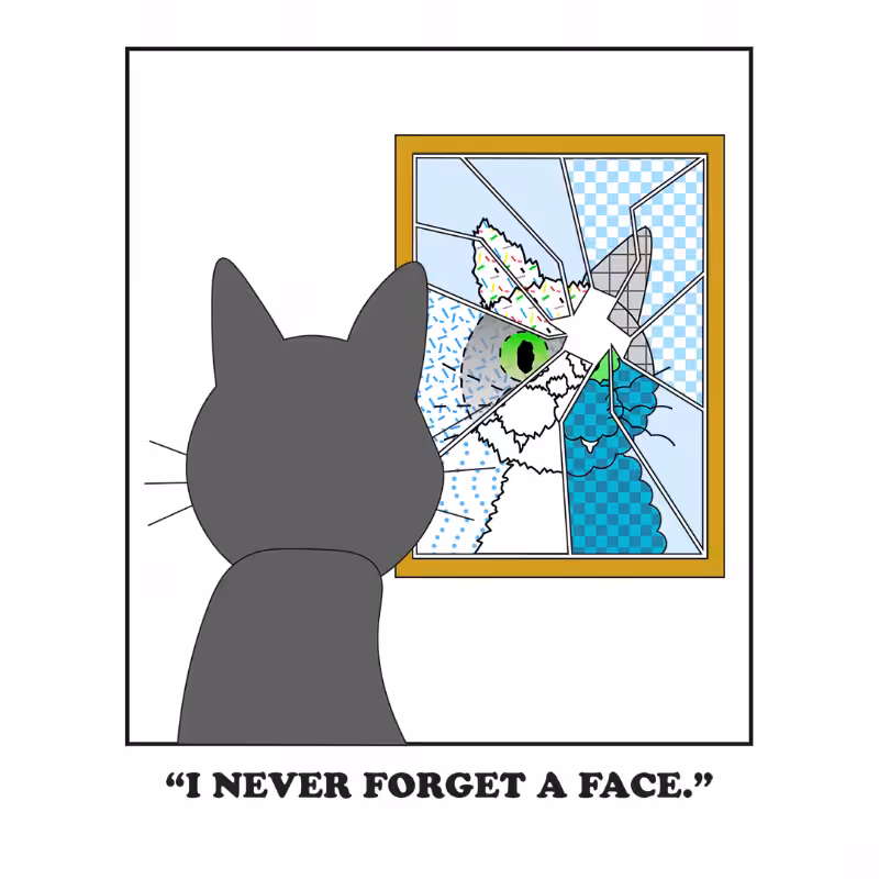 Broken Mirror #6