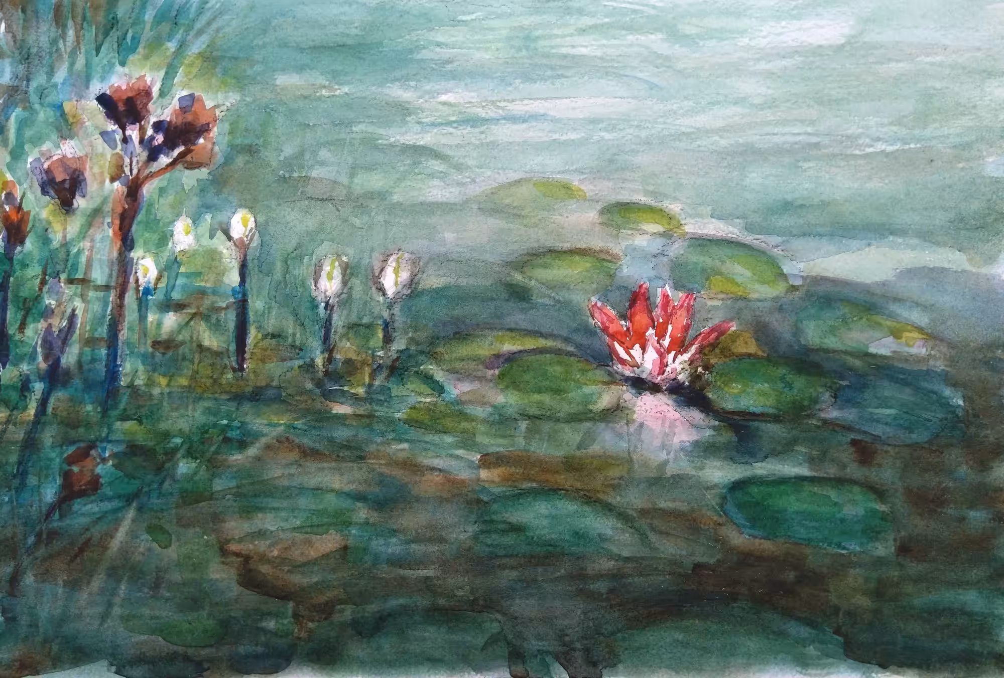 Waterlily Pink Flower