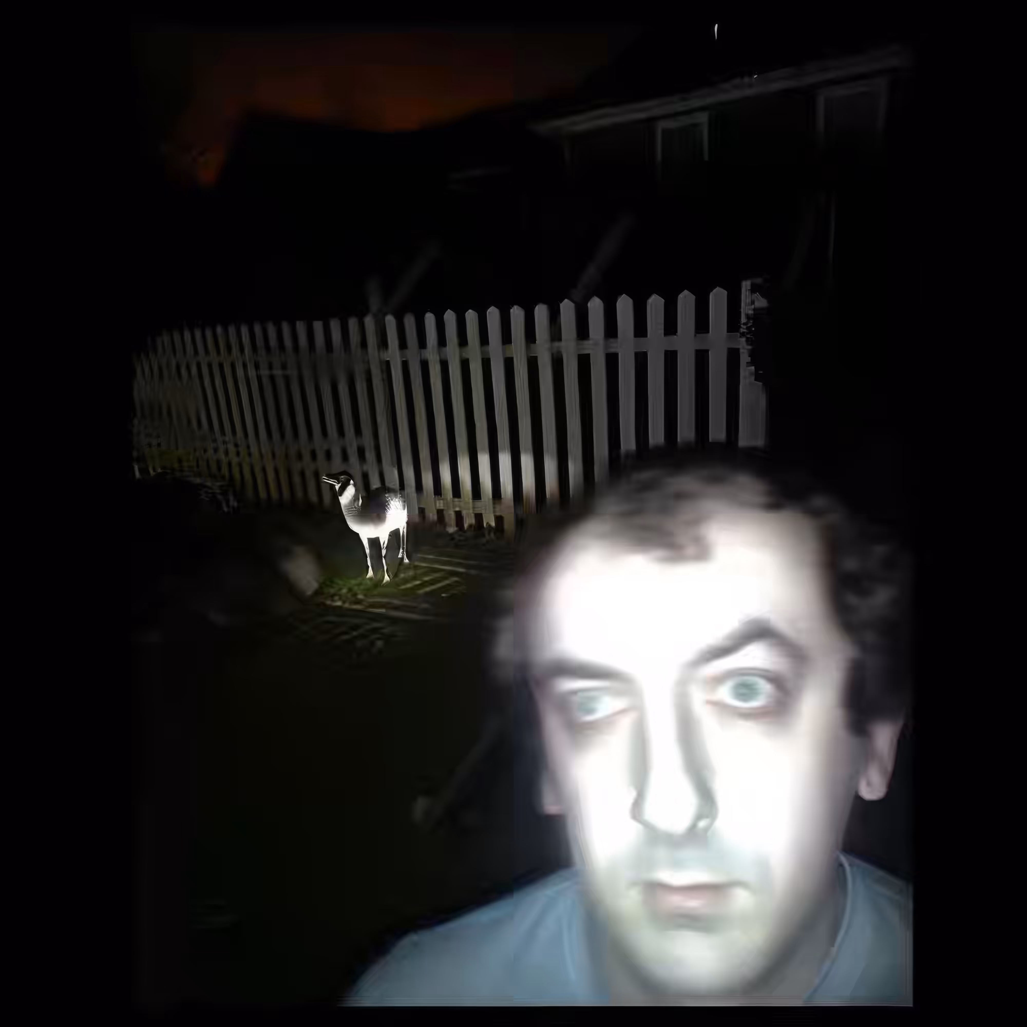 Blair-Goat-Project