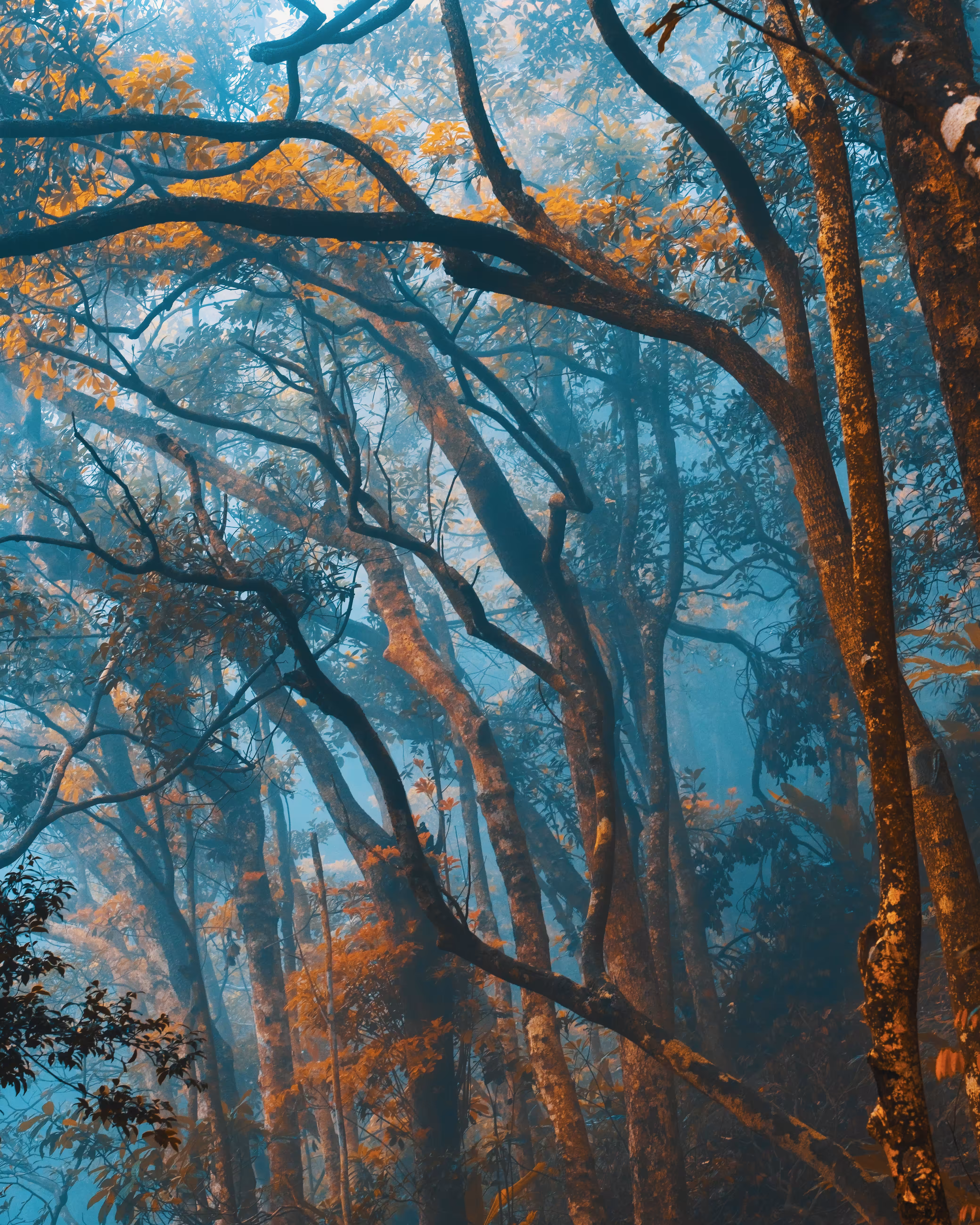 Ghosts of Luggard Road III
