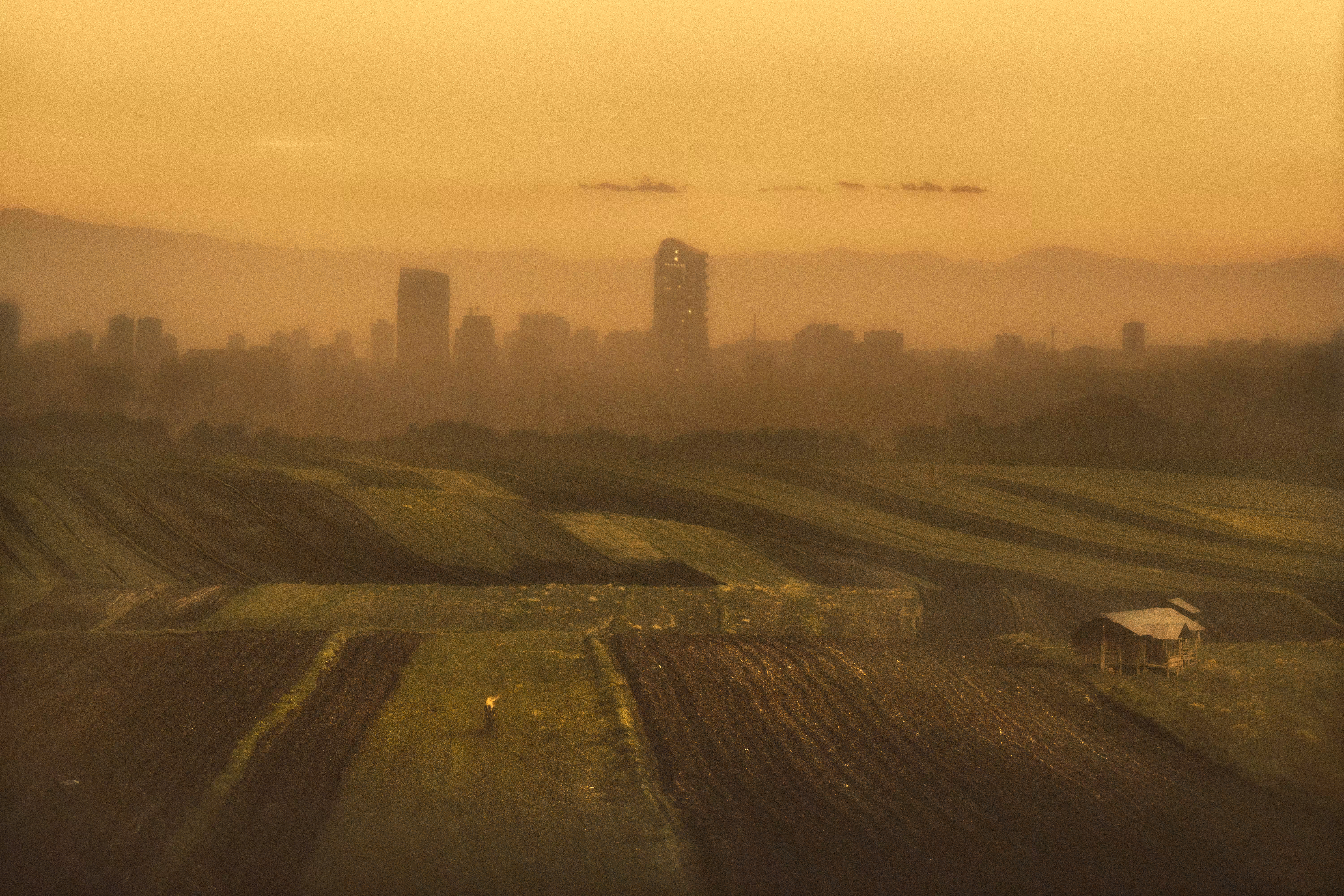 The Happy Valley: Imaginary Shelter