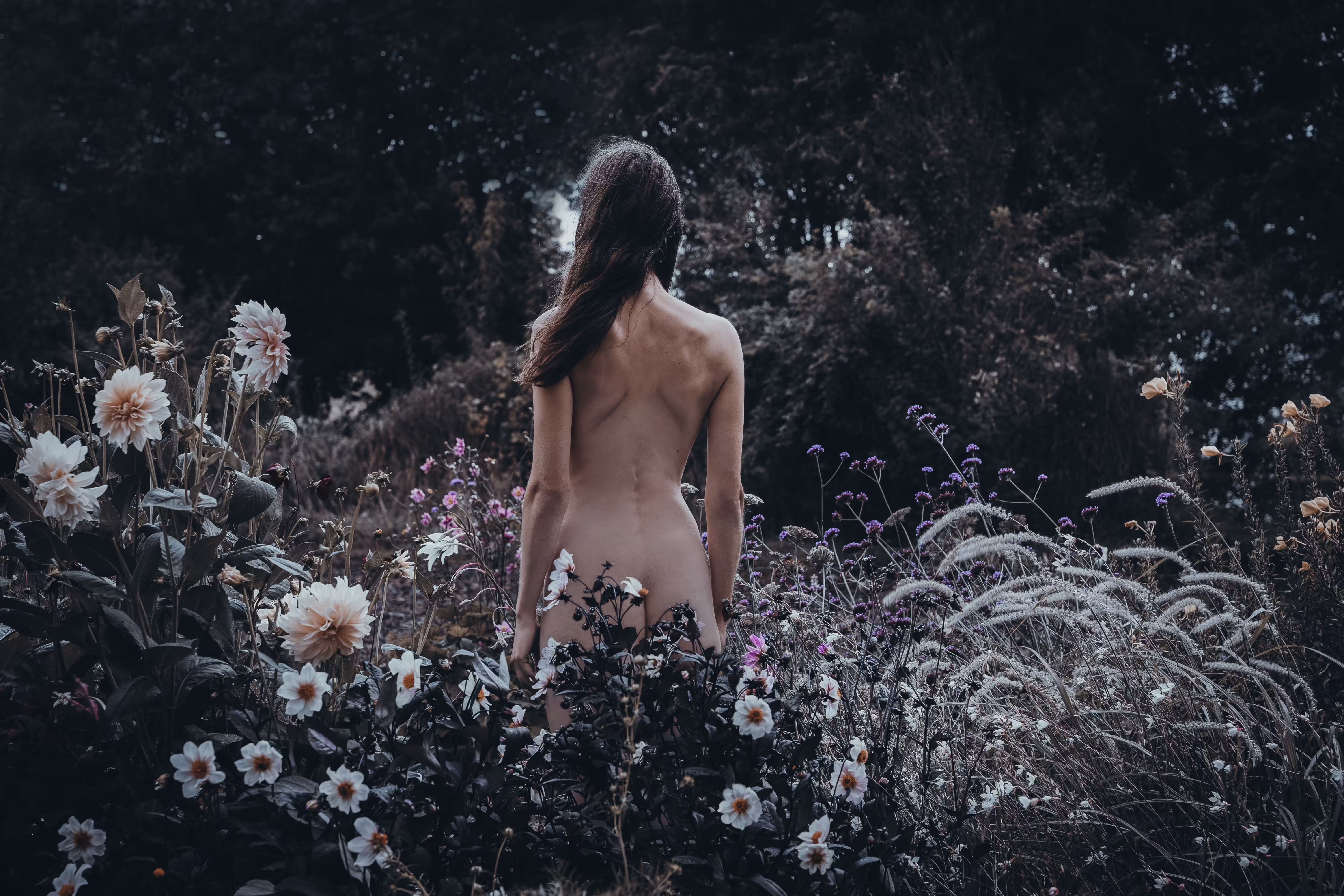 Garden of Eden I