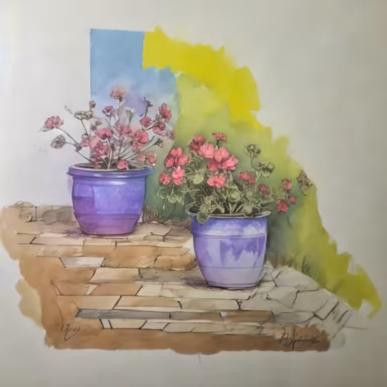 Geranium Fun