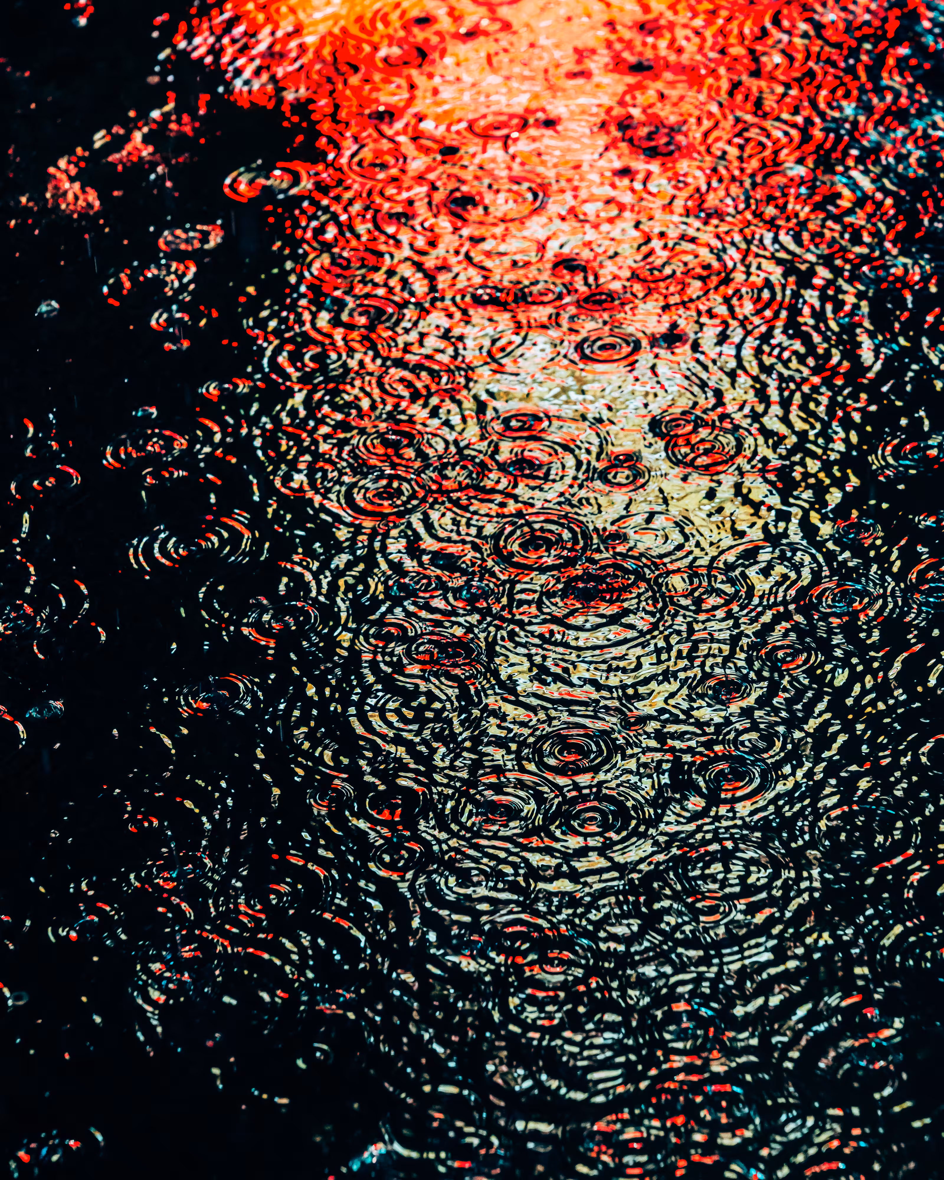 DRIP DROP: DRIP #780