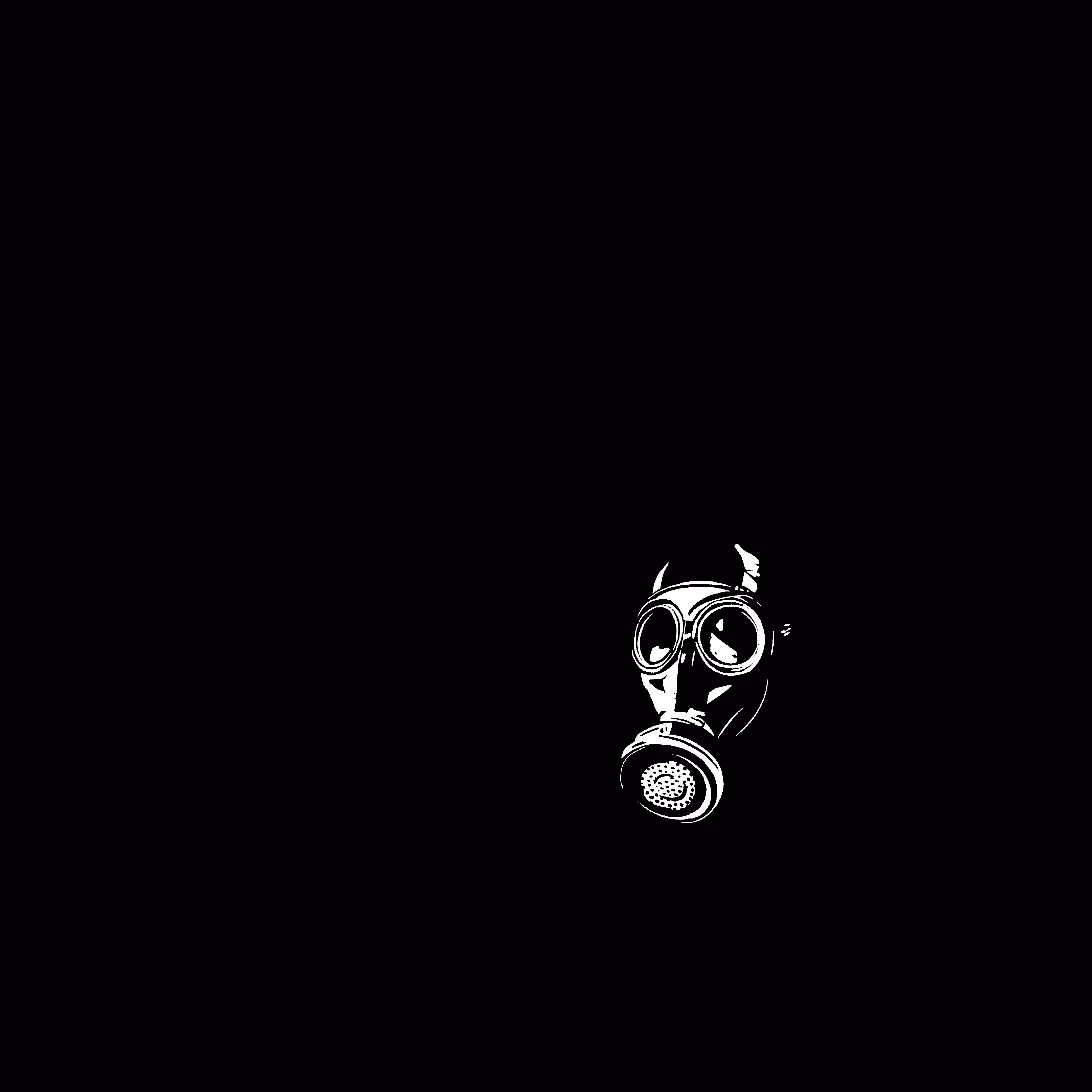 The mask