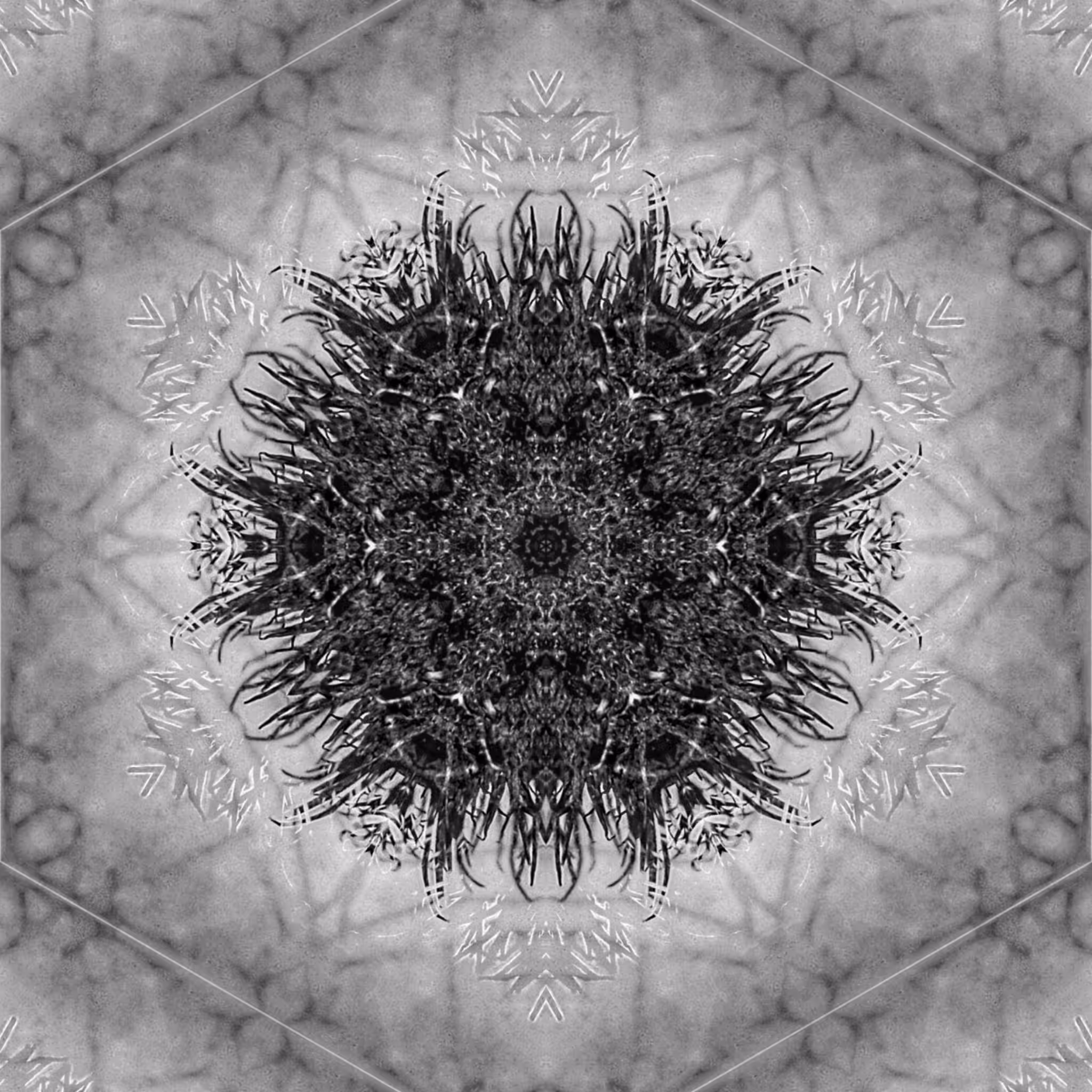 SHAMBU [Urucum Altered Patterns #6]