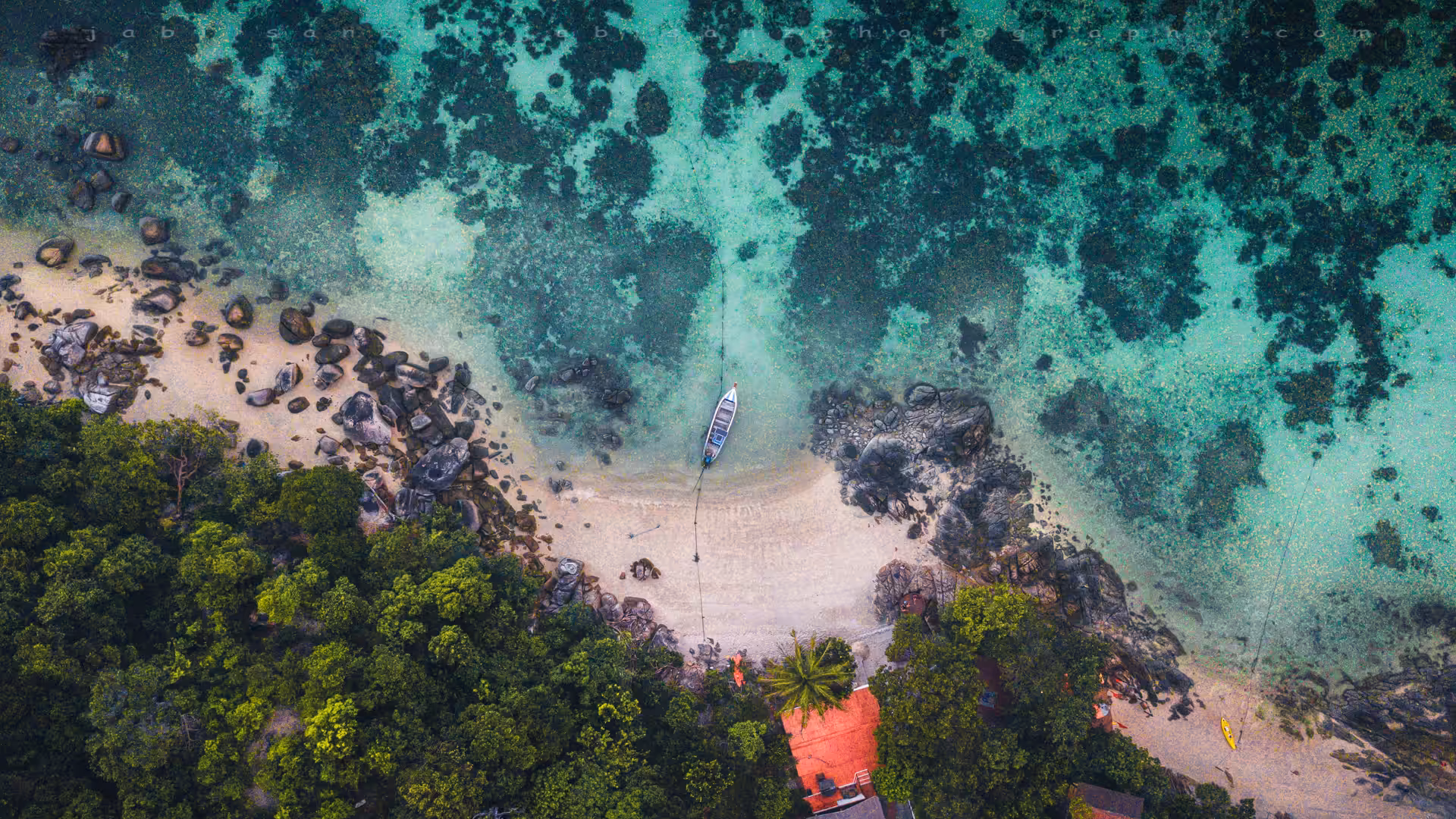 Tropical Vibes #36 ( Lost in paradise )