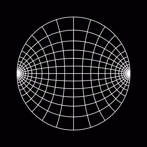 🌐