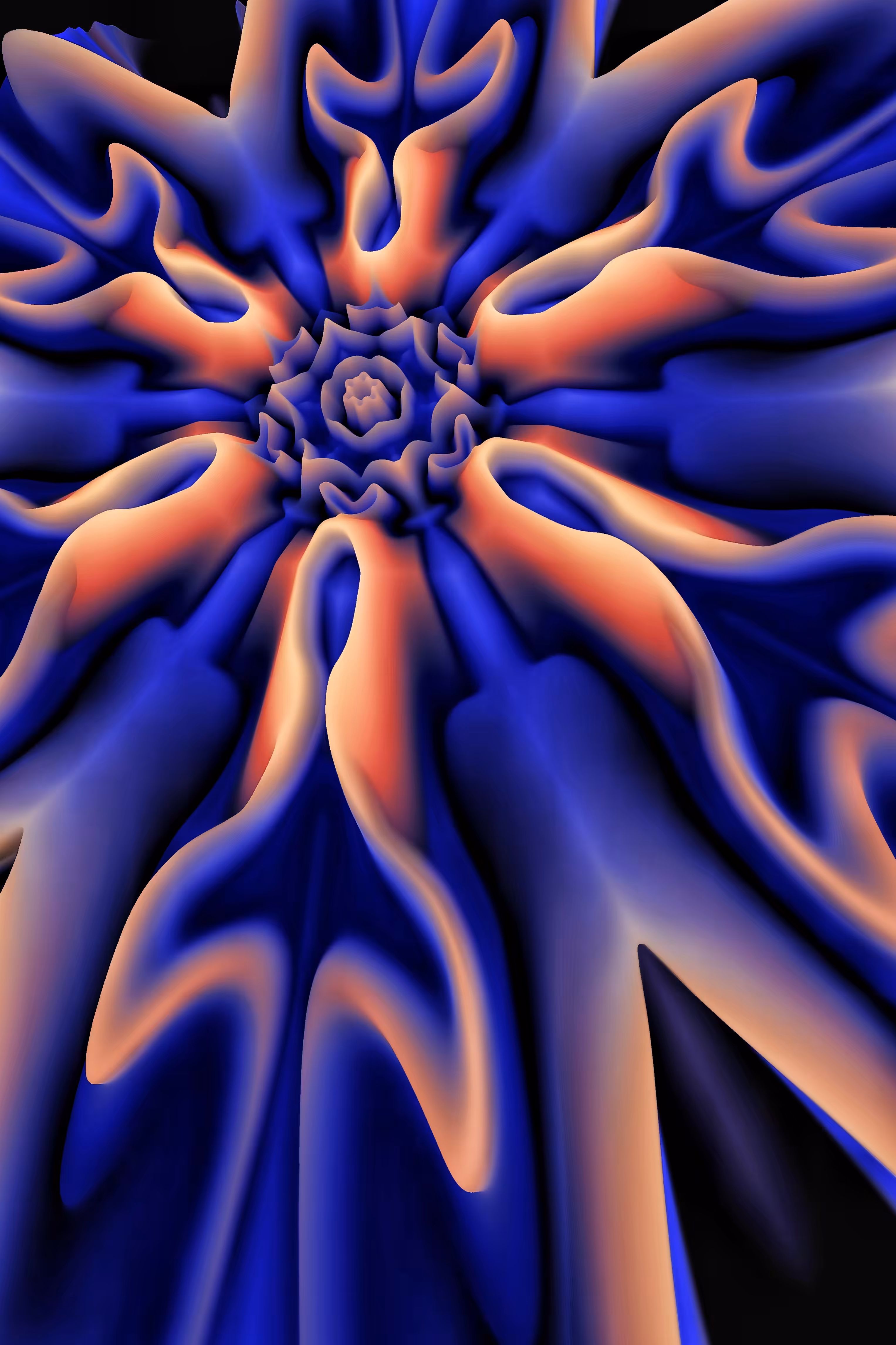 flower 081