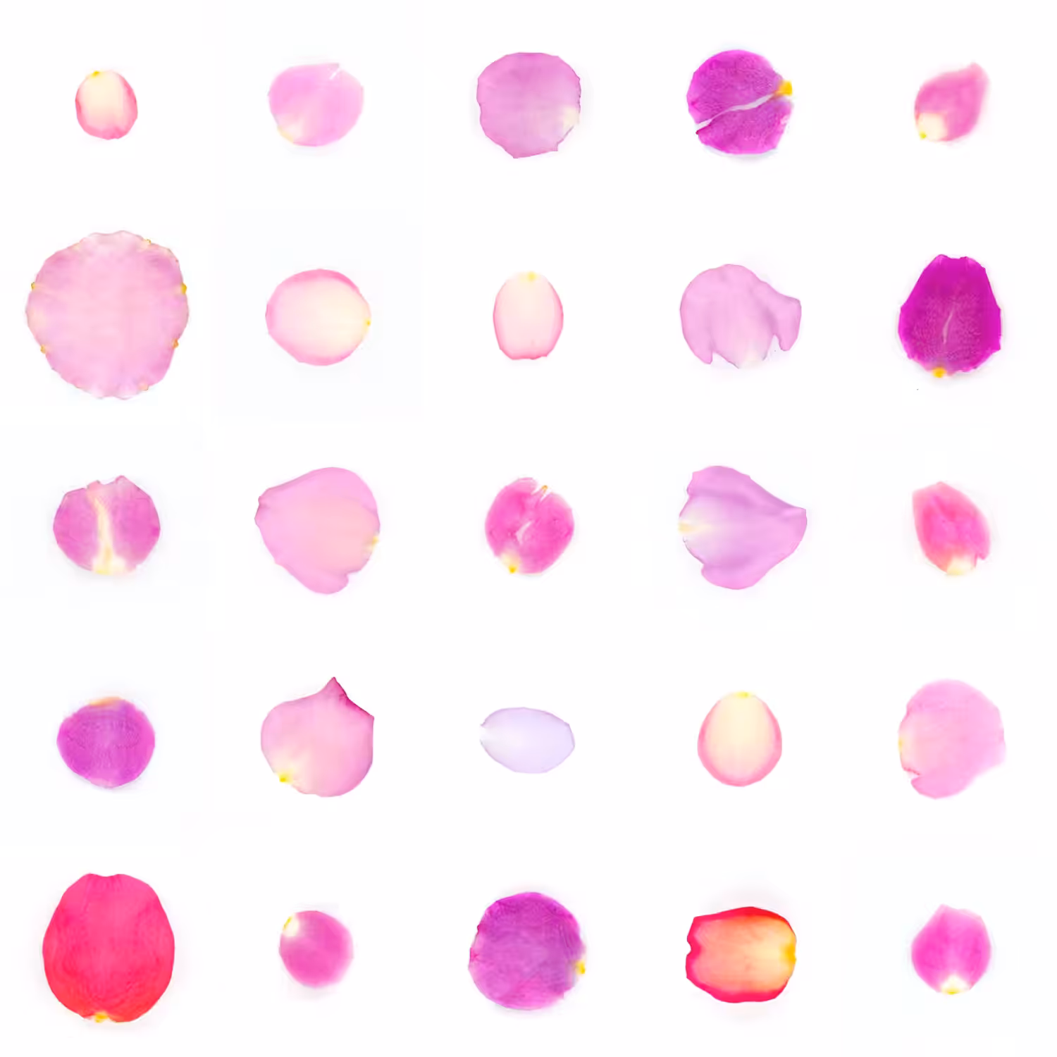 Infinite Petals 5x5#1311