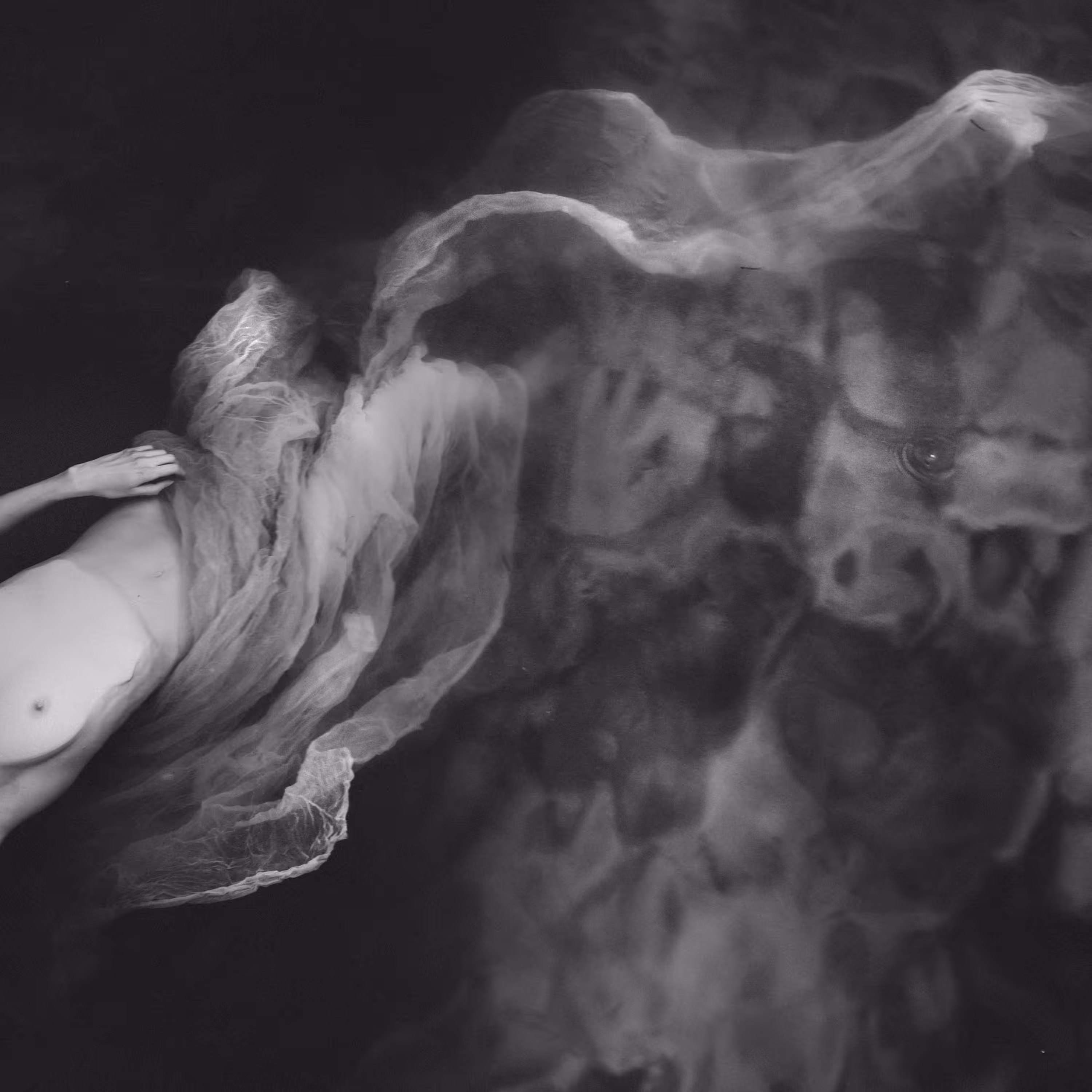 The Mermaid #6