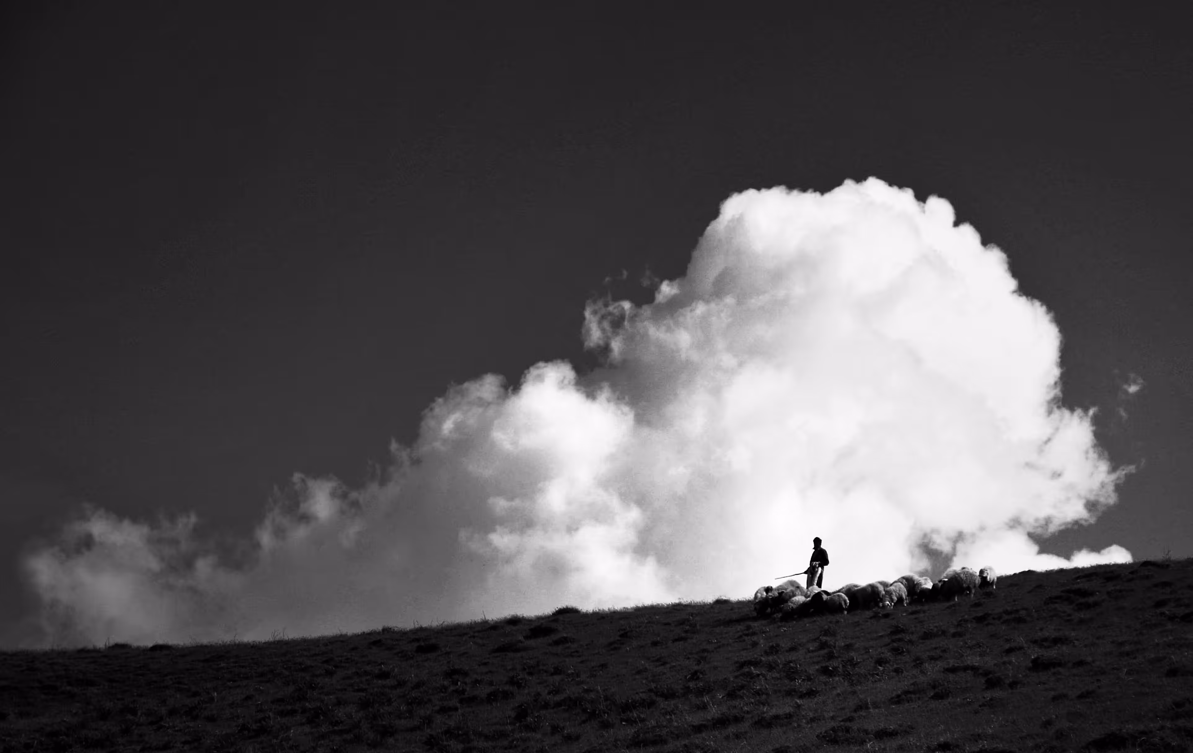 White clouds