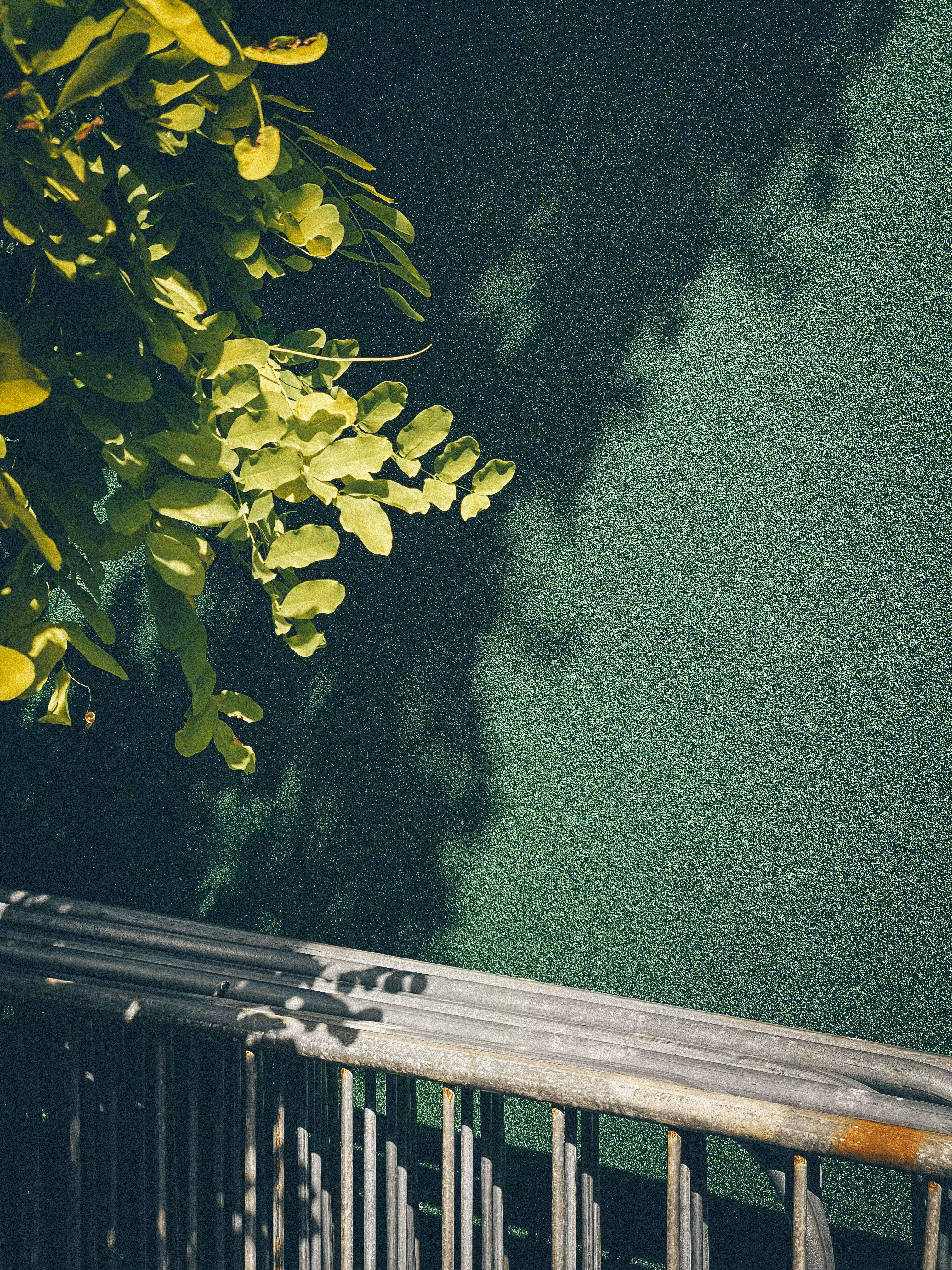 🌿📗🛒