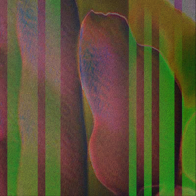 CLDCSMC #63