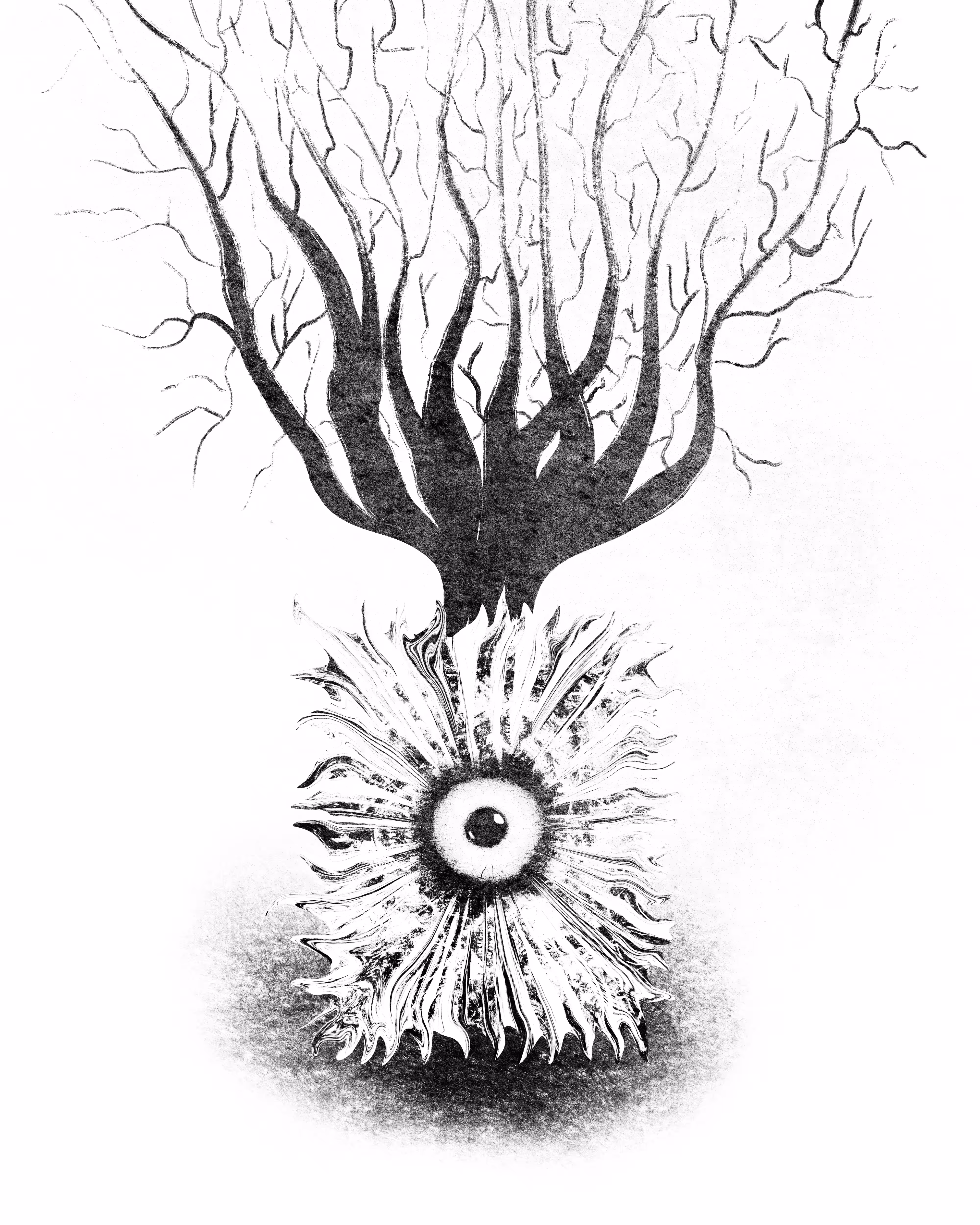 Growth