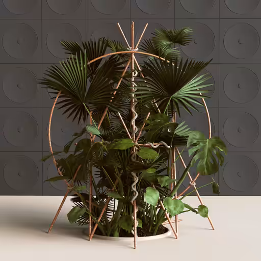 Jungle
